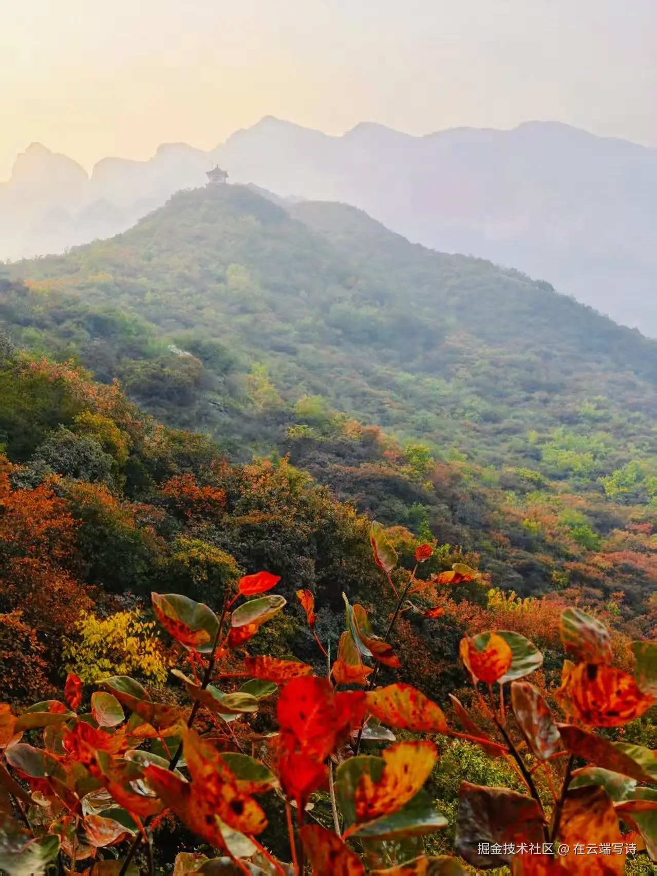 在云端写诗于2025-10-27 10:27发布的图片