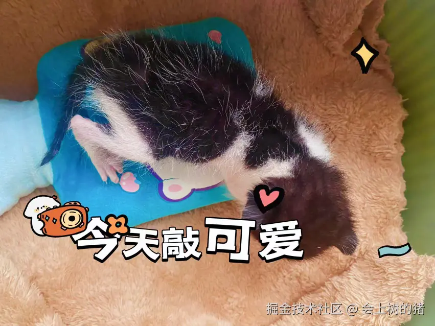 会上树的猪于2025-03-06 23:27发布的图片