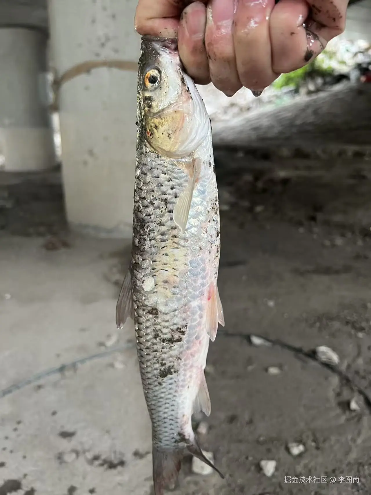 李图南于2025-10-15 15:20发布的图片