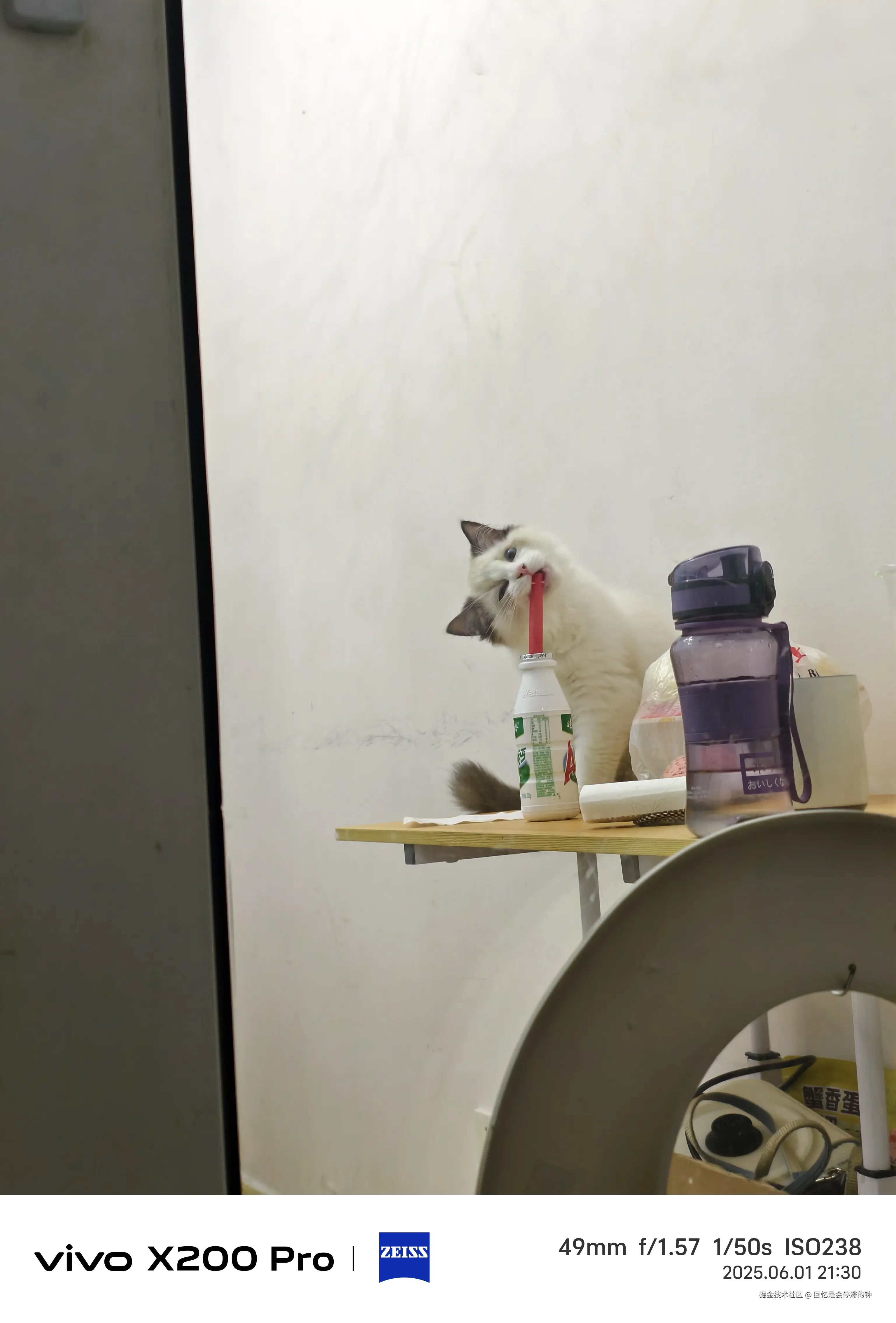 回忆是会停滞的钟于2025-07-31 16:00发布的图片