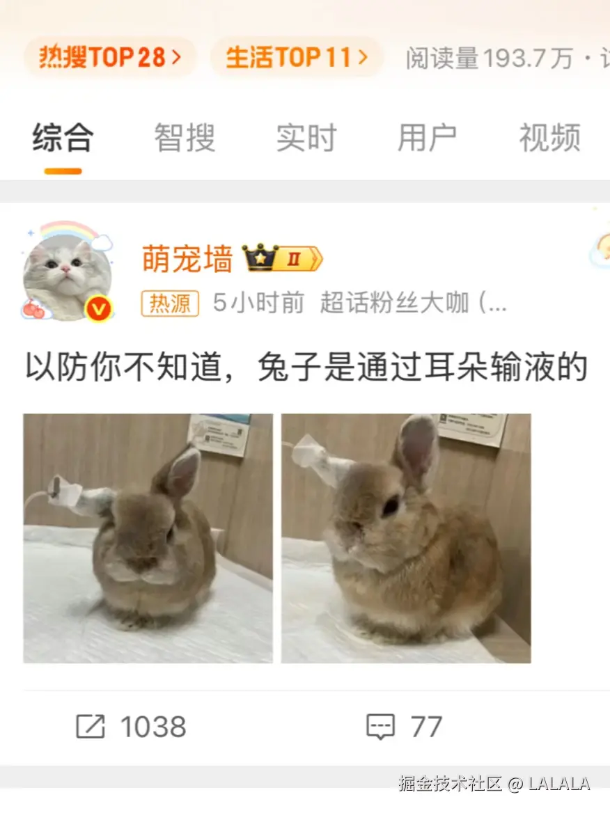 LALALA于2026-05-07 16:39发布的图片
