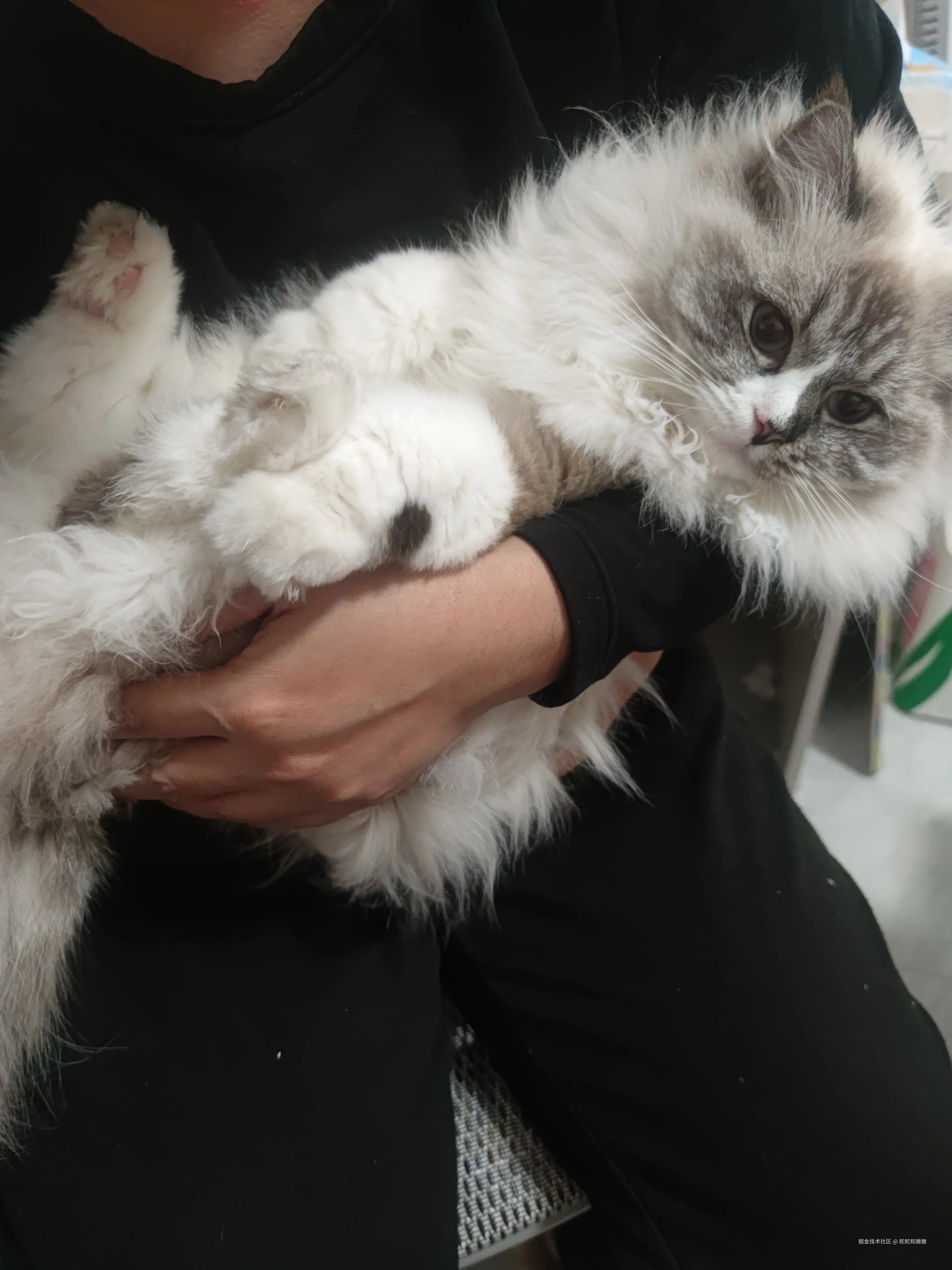 舵舵和撇撇于2026-03-10 10:26发布的图片