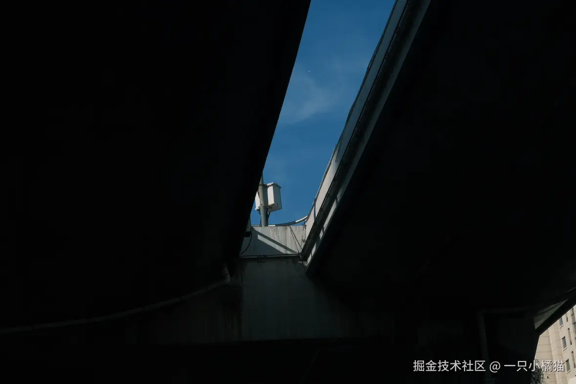 一只小橘猫于2025-07-21 08:45发布的图片