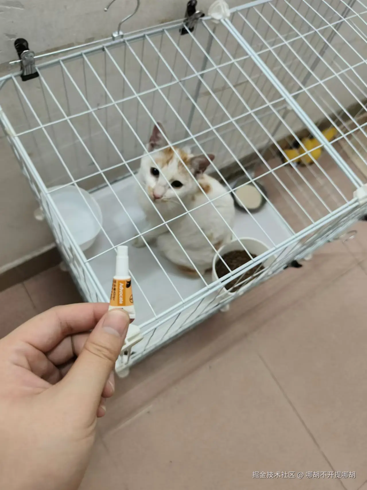 哪胡不开提哪胡于2024-12-06 01:06发布的图片
