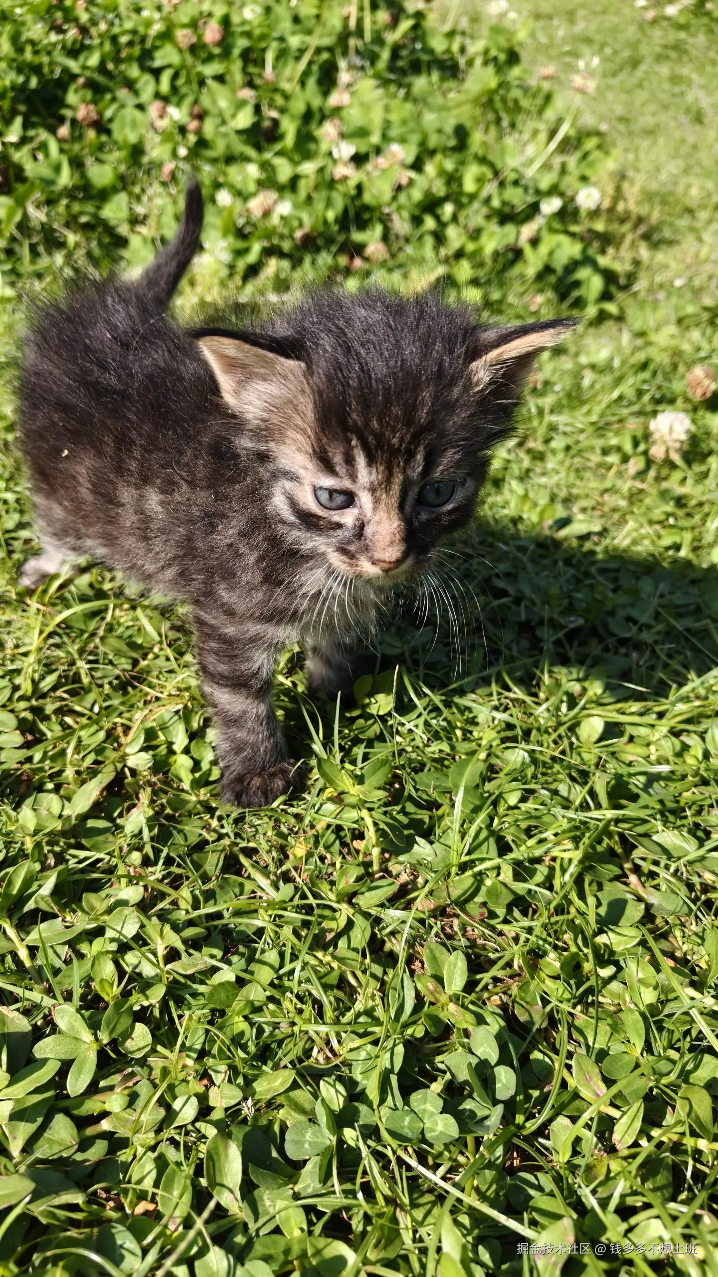 钱多多不想上班于2025-05-12 13:53发布的图片