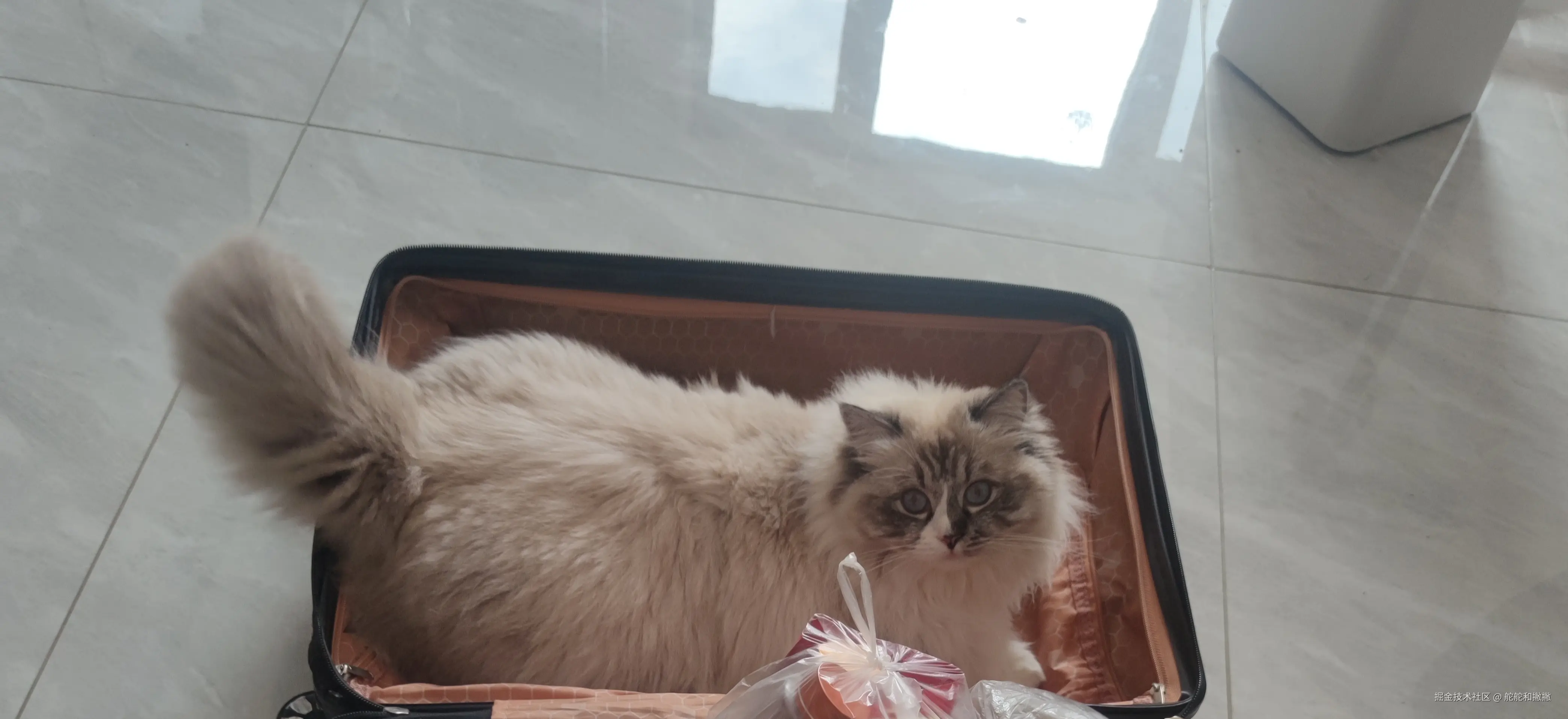 舵舵和撇撇于2026-03-10 10:26发布的图片