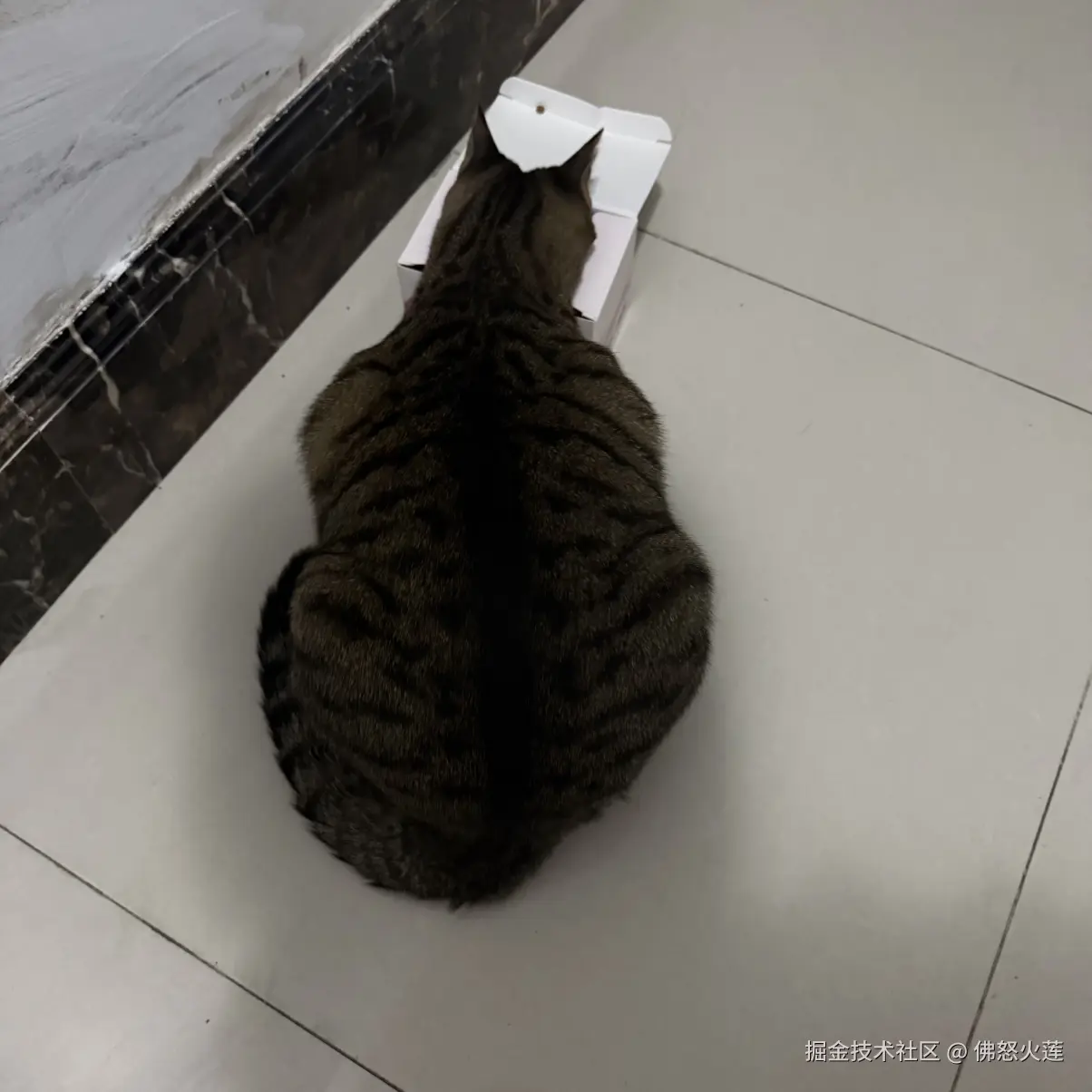 佛怒火莲于2025-11-19 18:47发布的图片