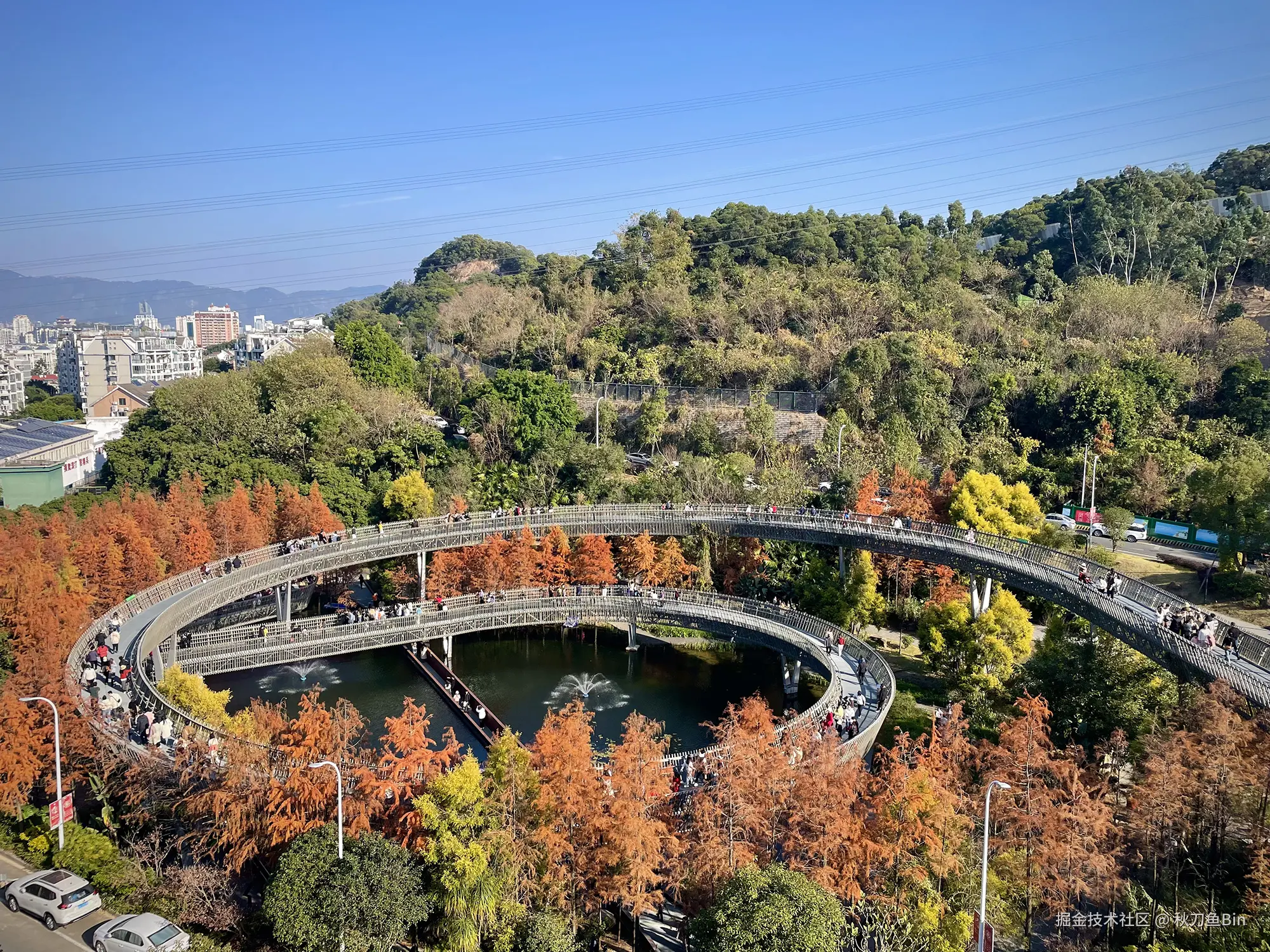 秋刀鱼Bin于2025-01-06 15:29发布的图片