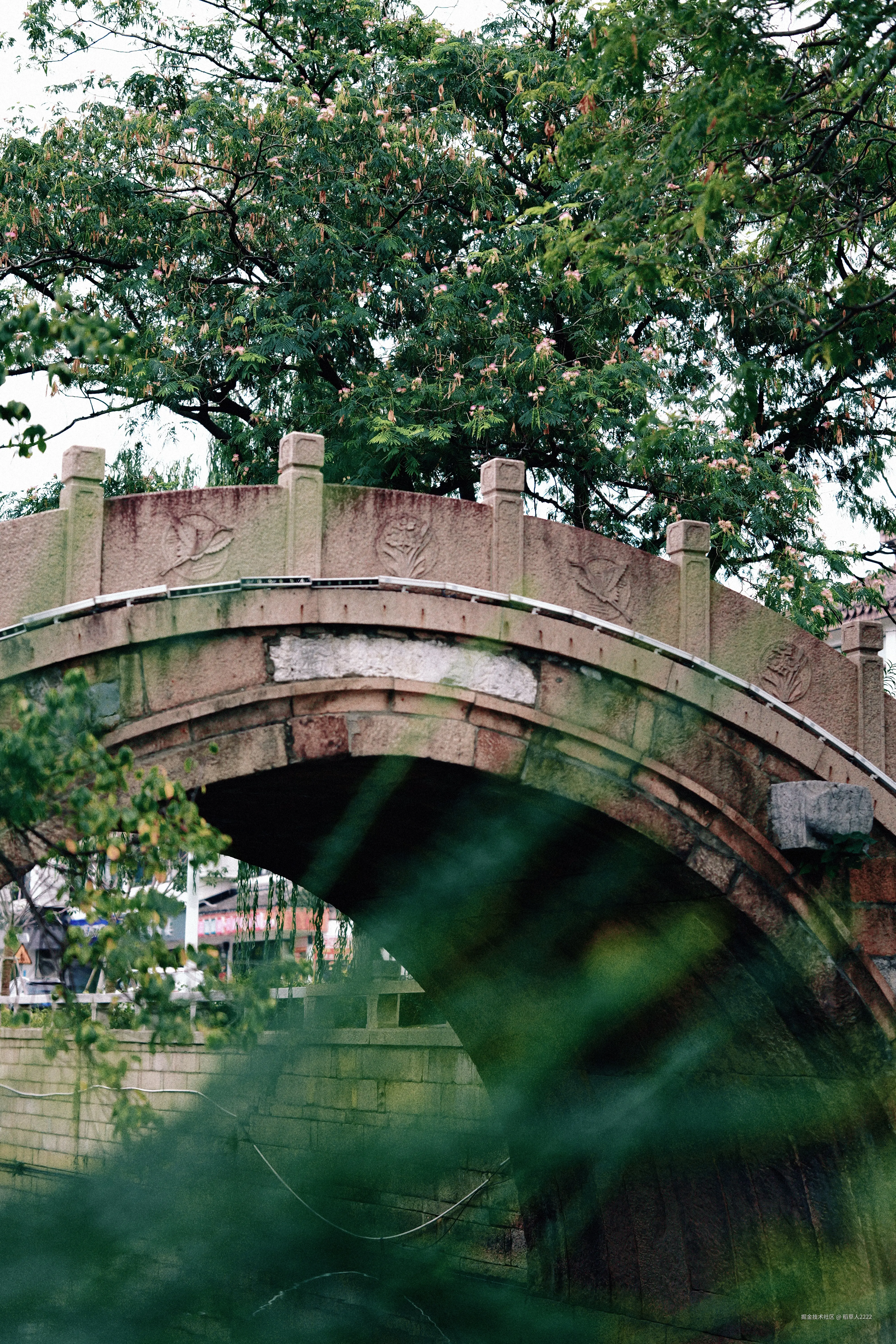 稻草人2222于2025-11-03 11:30发布的图片