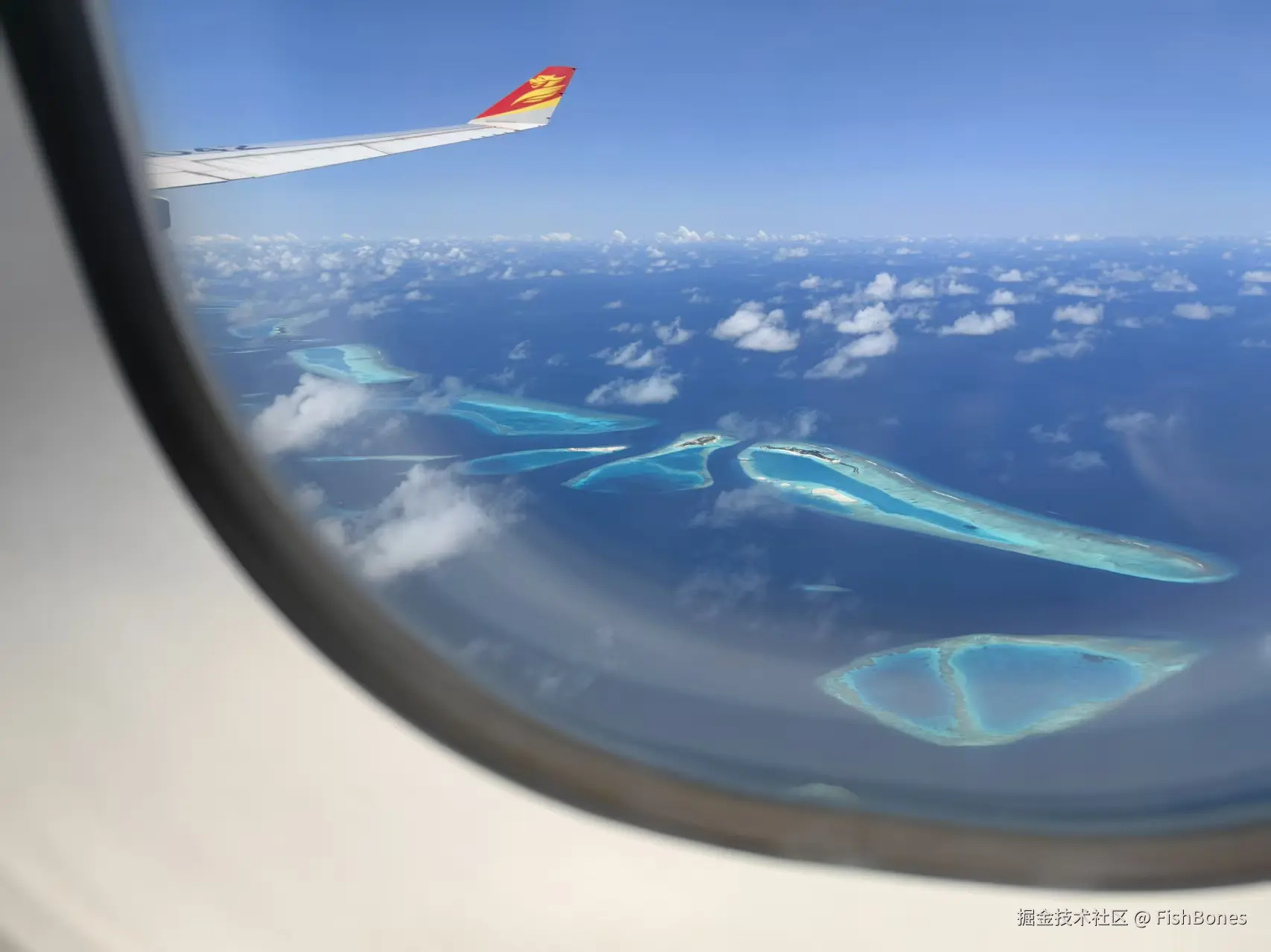 FishBones于2025-10-09 15:46发布的图片