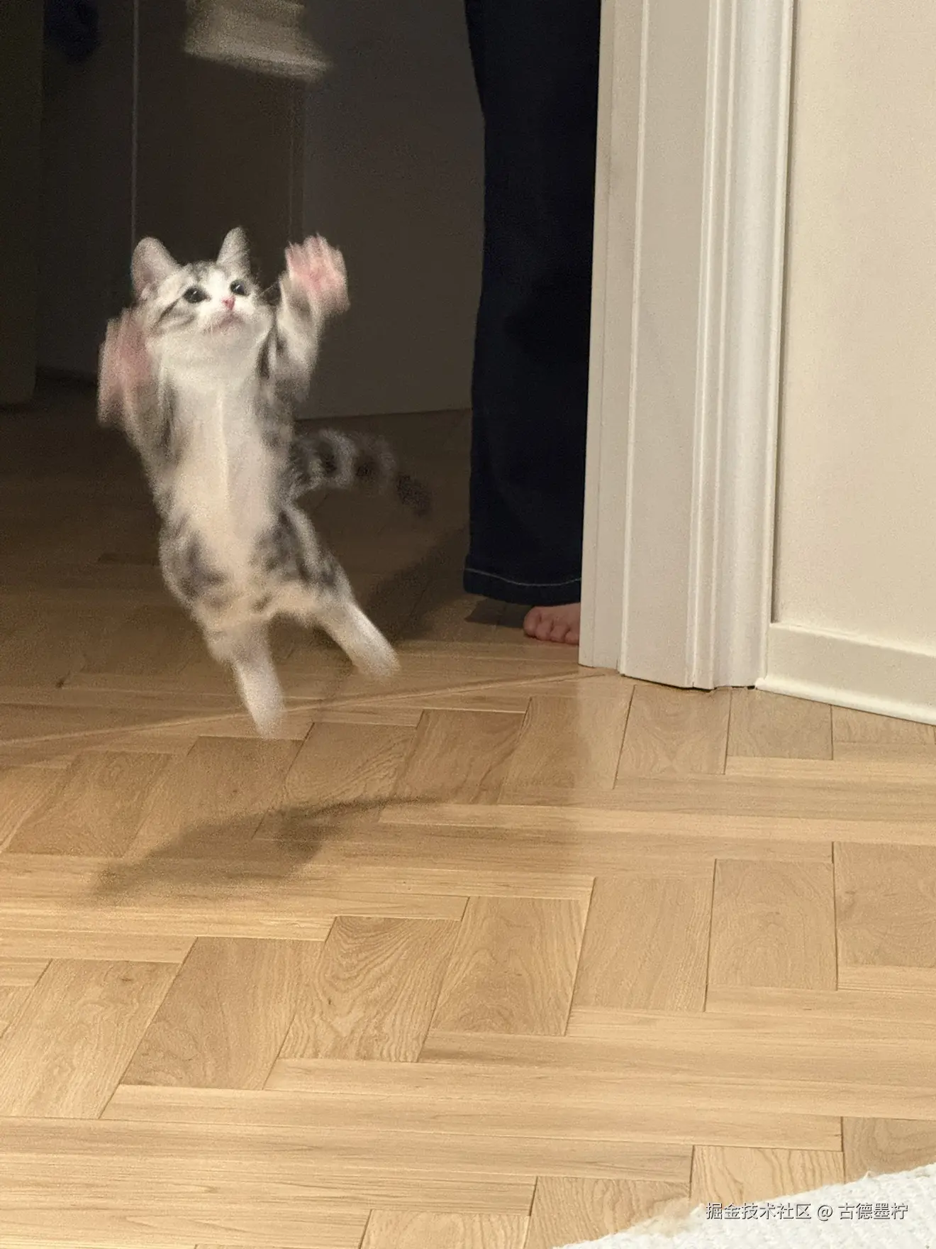 古德墨柠于2026-02-12 16:24发布的图片