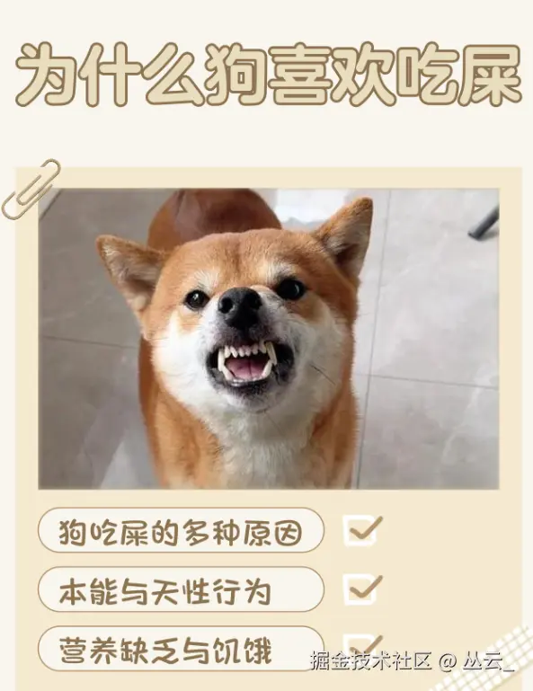丛云_于2026-07-08 03:26发布的图片