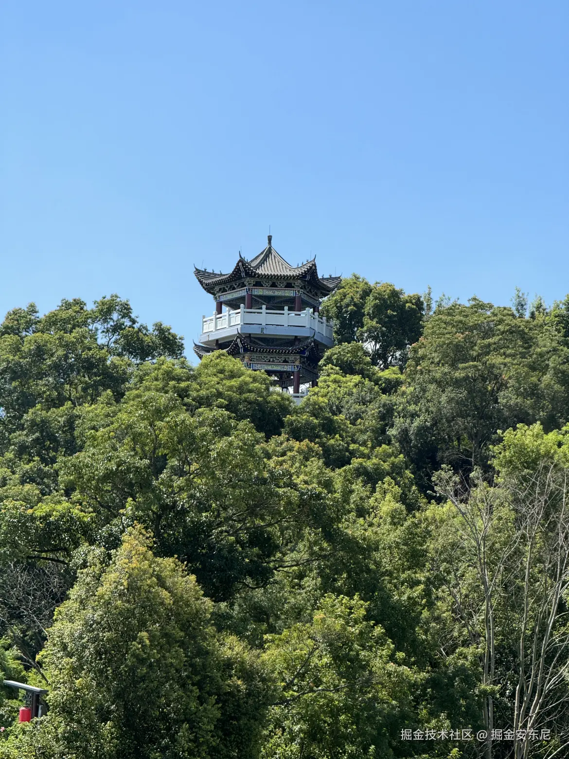 掘金安东尼于2024-08-03 21:01发布的图片