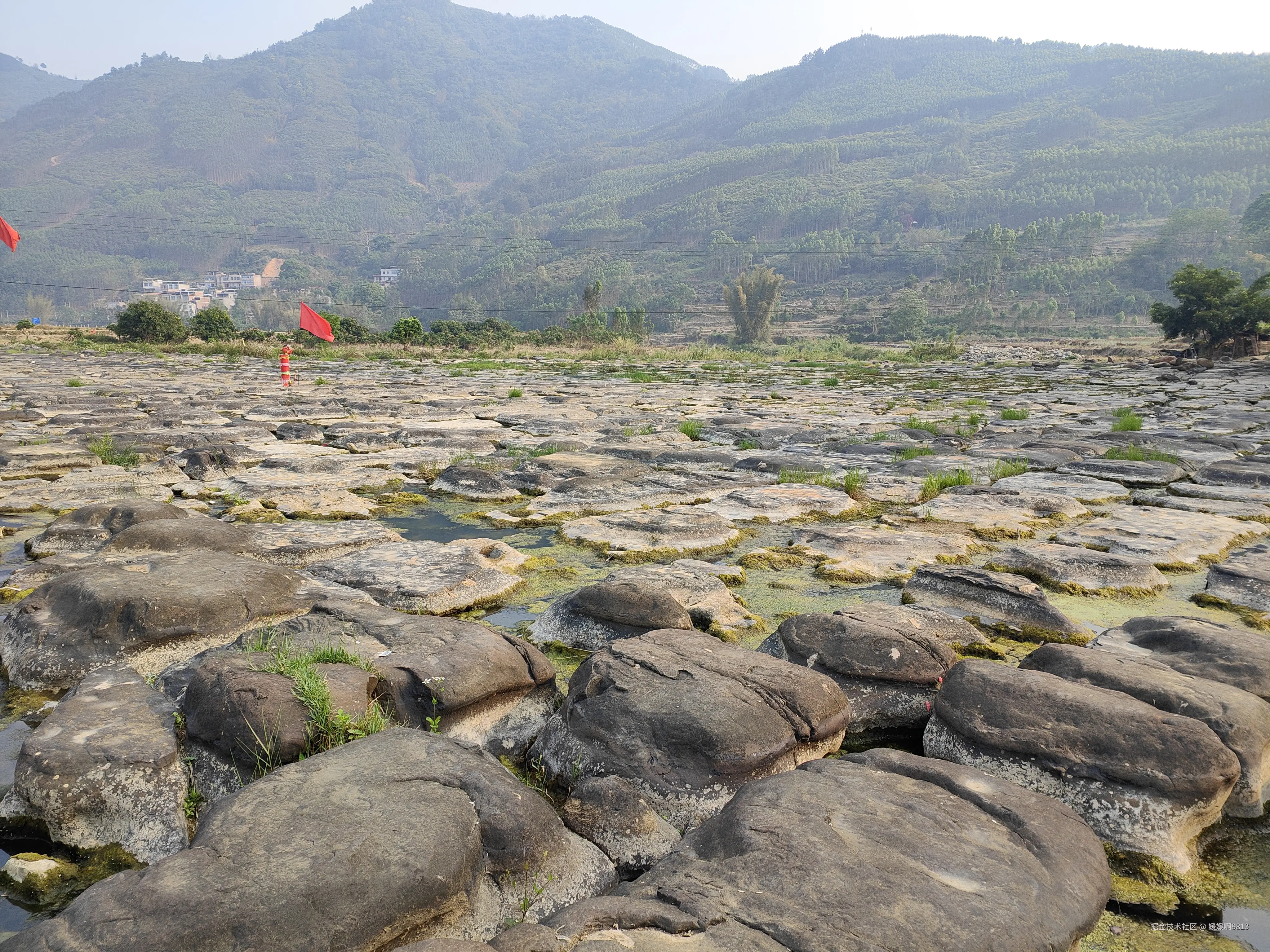 媛媛啊9813于2026-04-07 09:53发布的图片