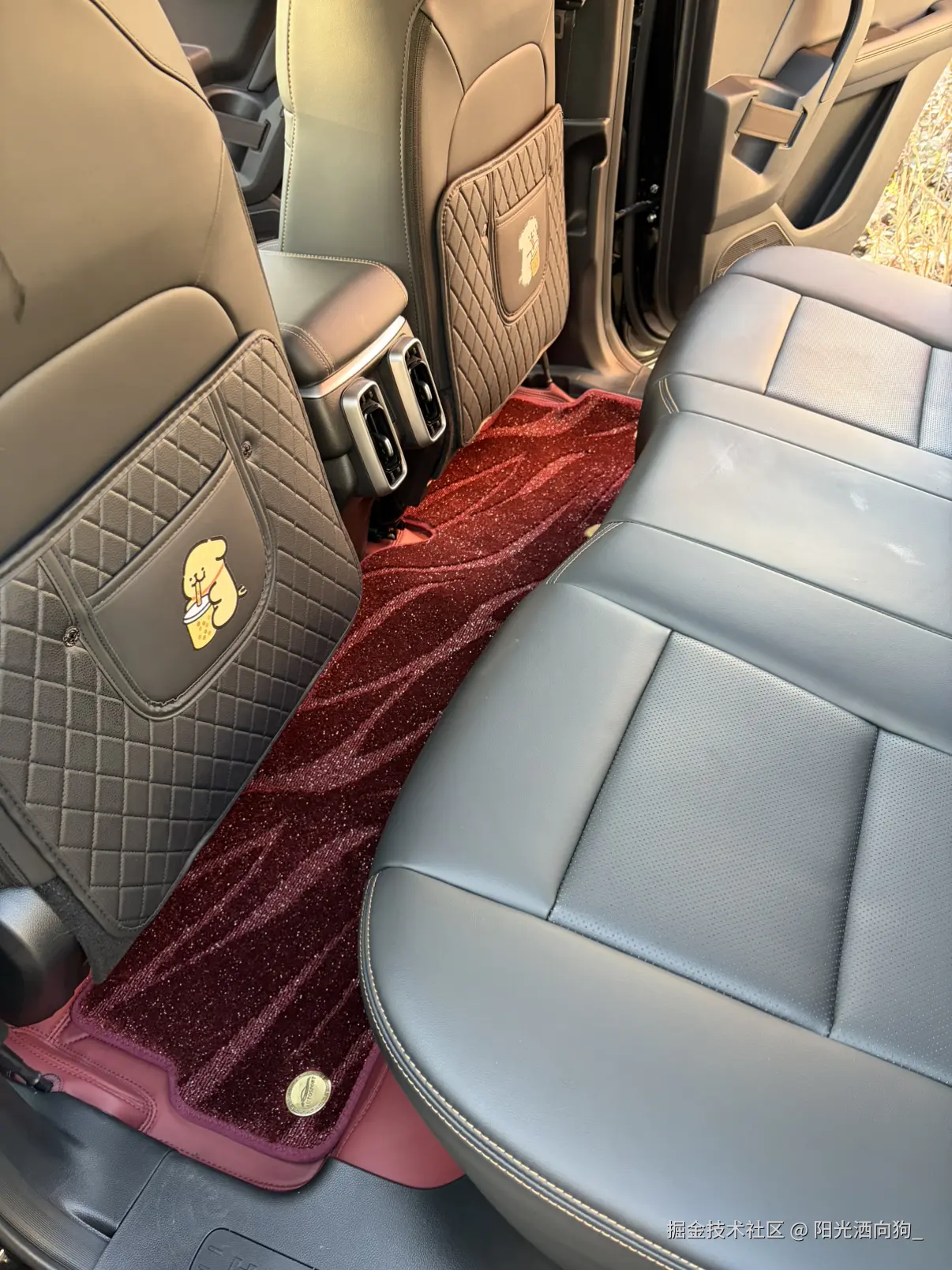 阳光洒向狗_于2026-01-23 14:50发布的图片