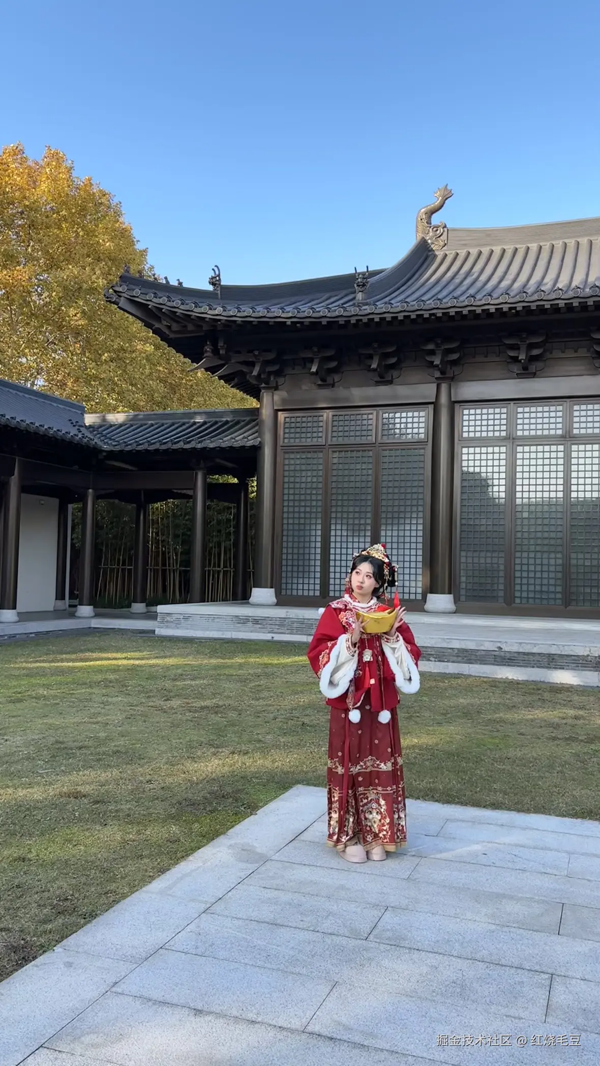 红烧毛豆于2024-12-24 16:21发布的图片