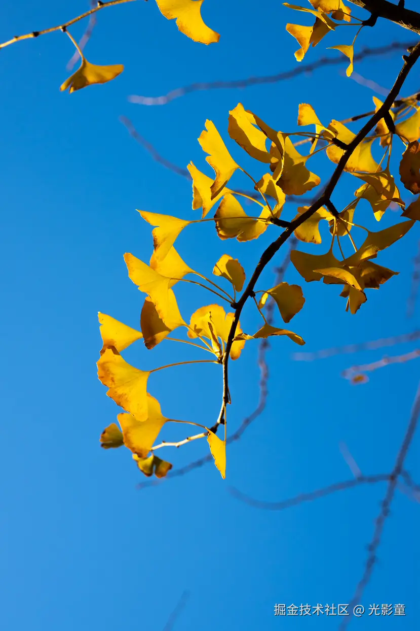 光影童于2025-11-28 10:03发布的图片