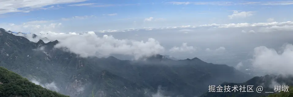 __树墩于2024-08-05 09:05发布的图片