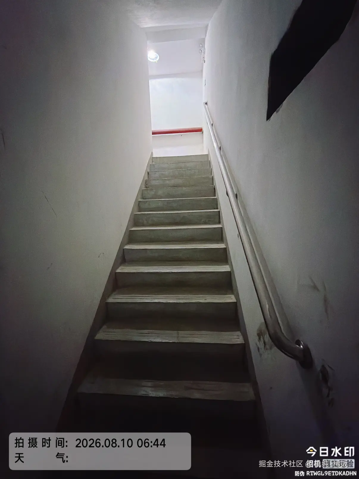 单纯_稀饭于2026-08-09 23:08发布的图片