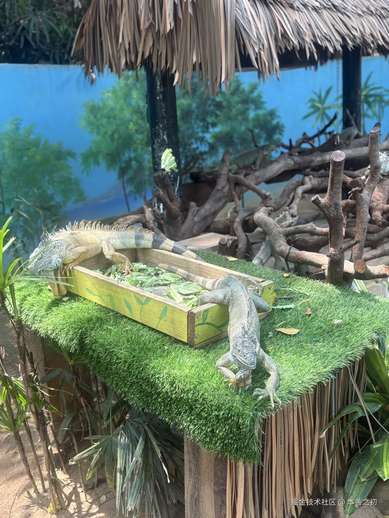 本善之初于2025-05-06 15:14发布的图片