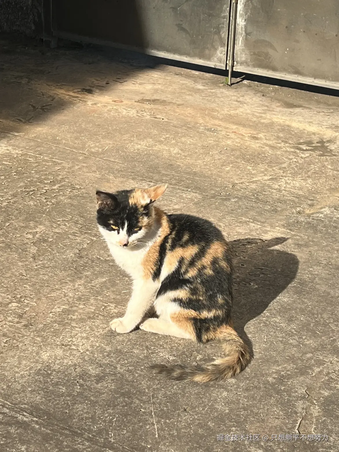 只想躺平不想努力于2025-11-21 09:56发布的图片