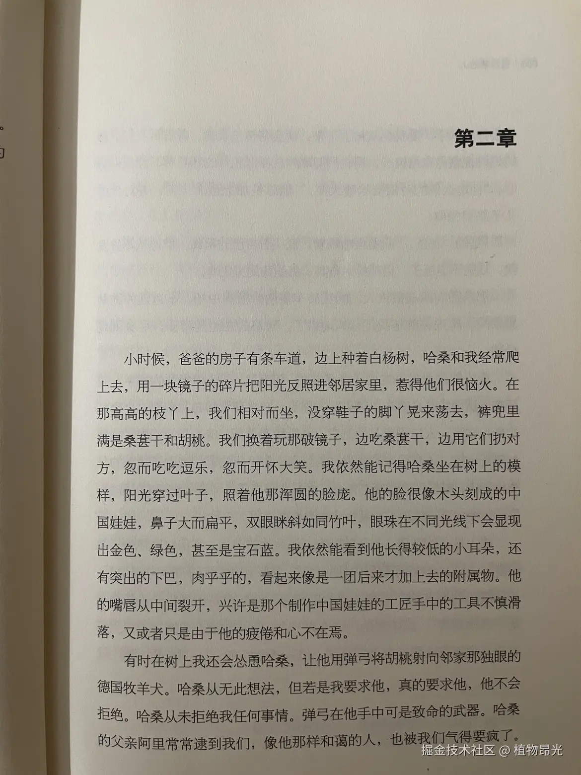 植物昂光于2026-07-16 13:57发布的图片