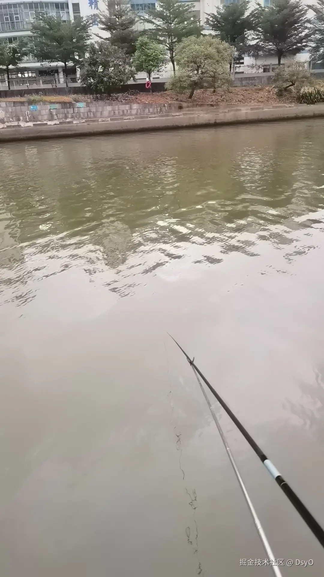 DsyO于2024-11-19 16:14发布的图片