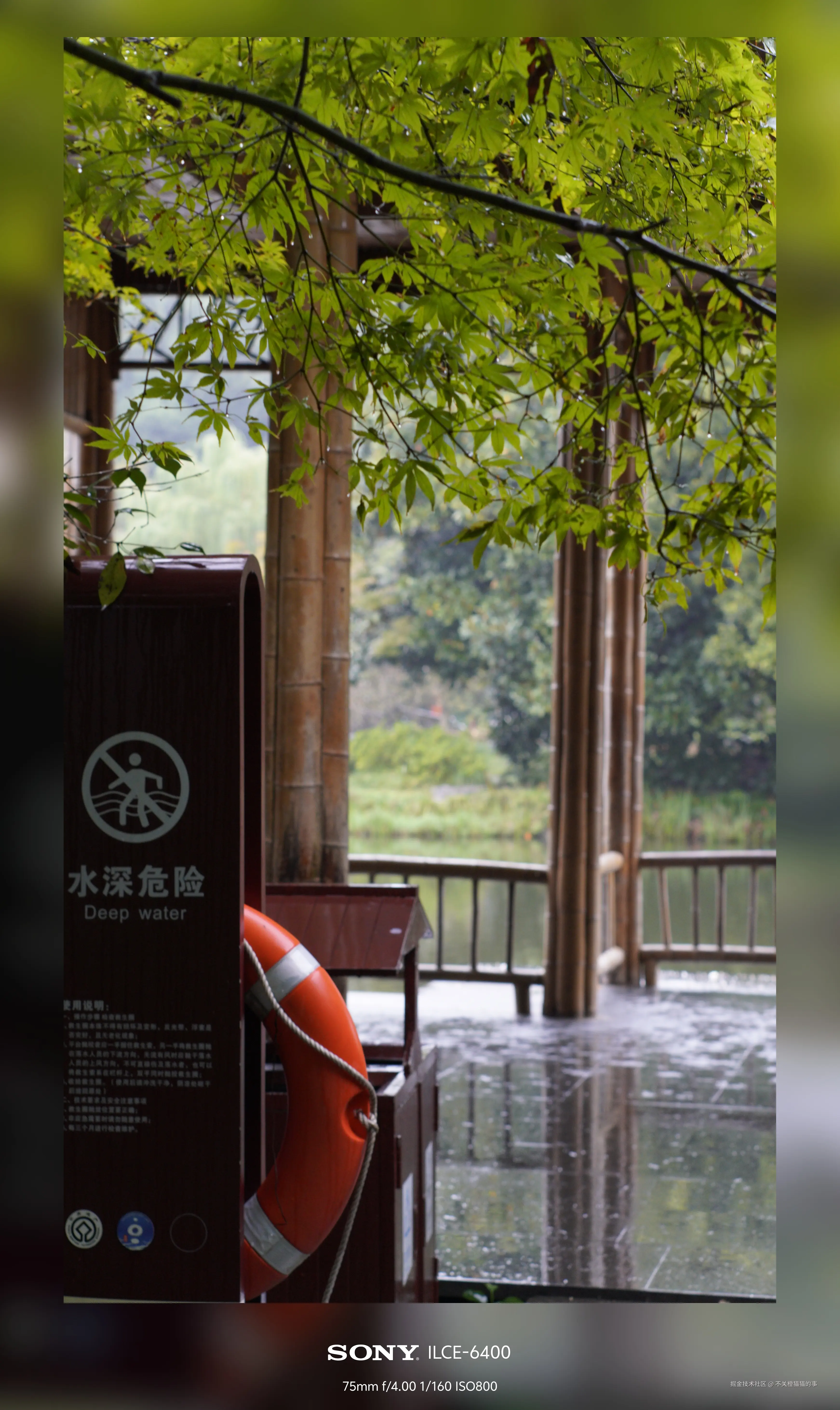 不关橙猫猫的事于2024-10-08 14:03发布的图片