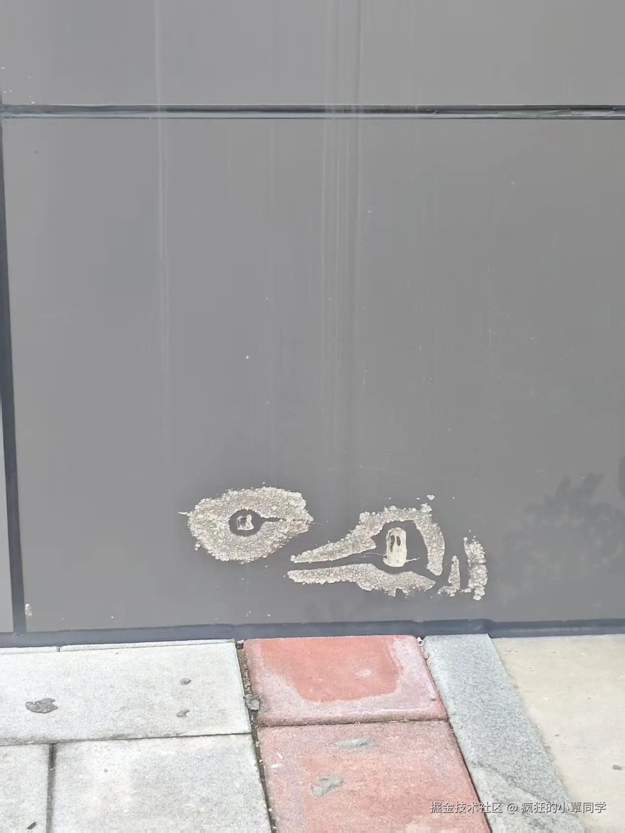 疯狂的小覃同学于2025-06-05 10:06发布的图片