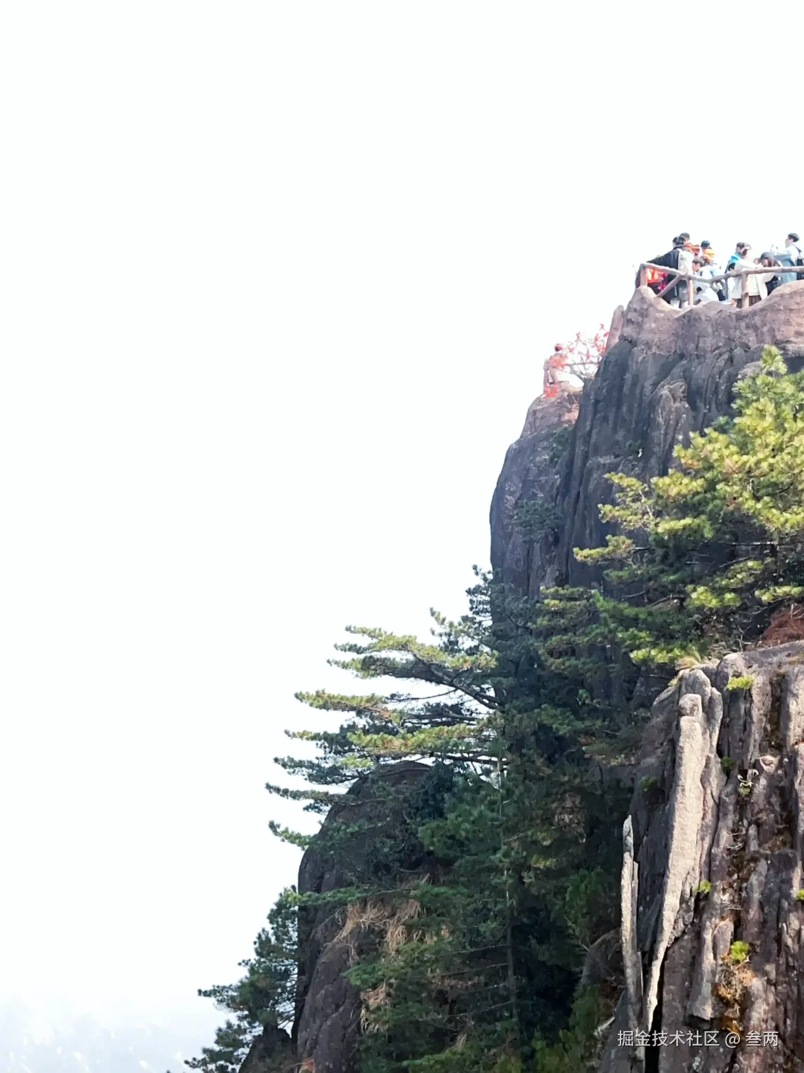 叁两于2026-03-09 09:55发布的图片