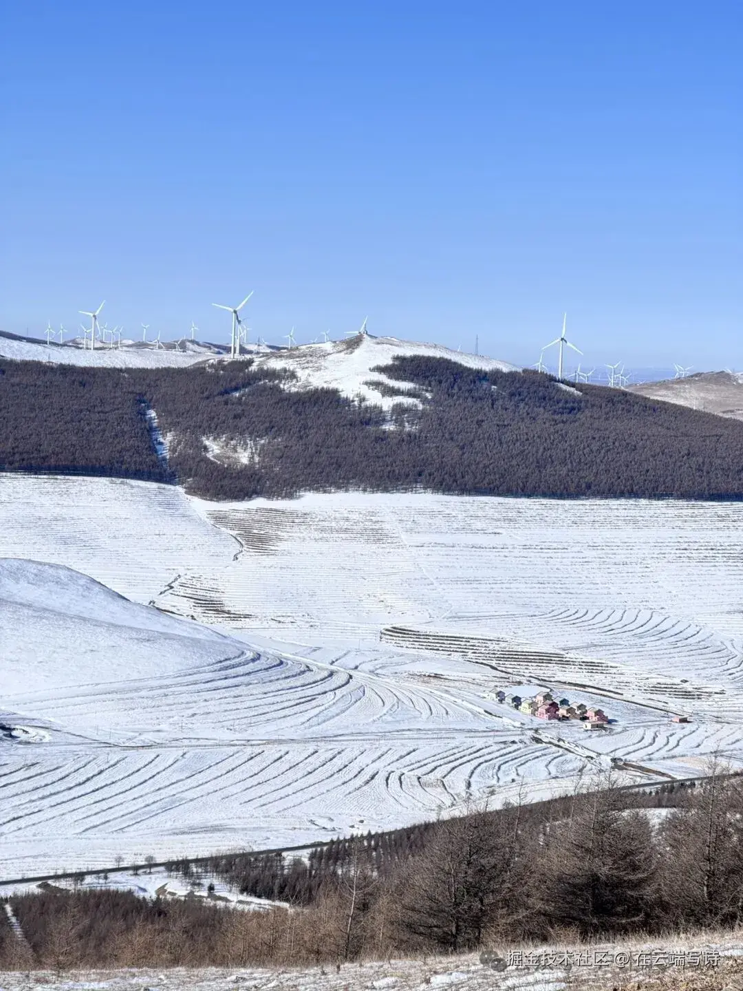 在云端写诗于2026-01-04 10:40发布的图片