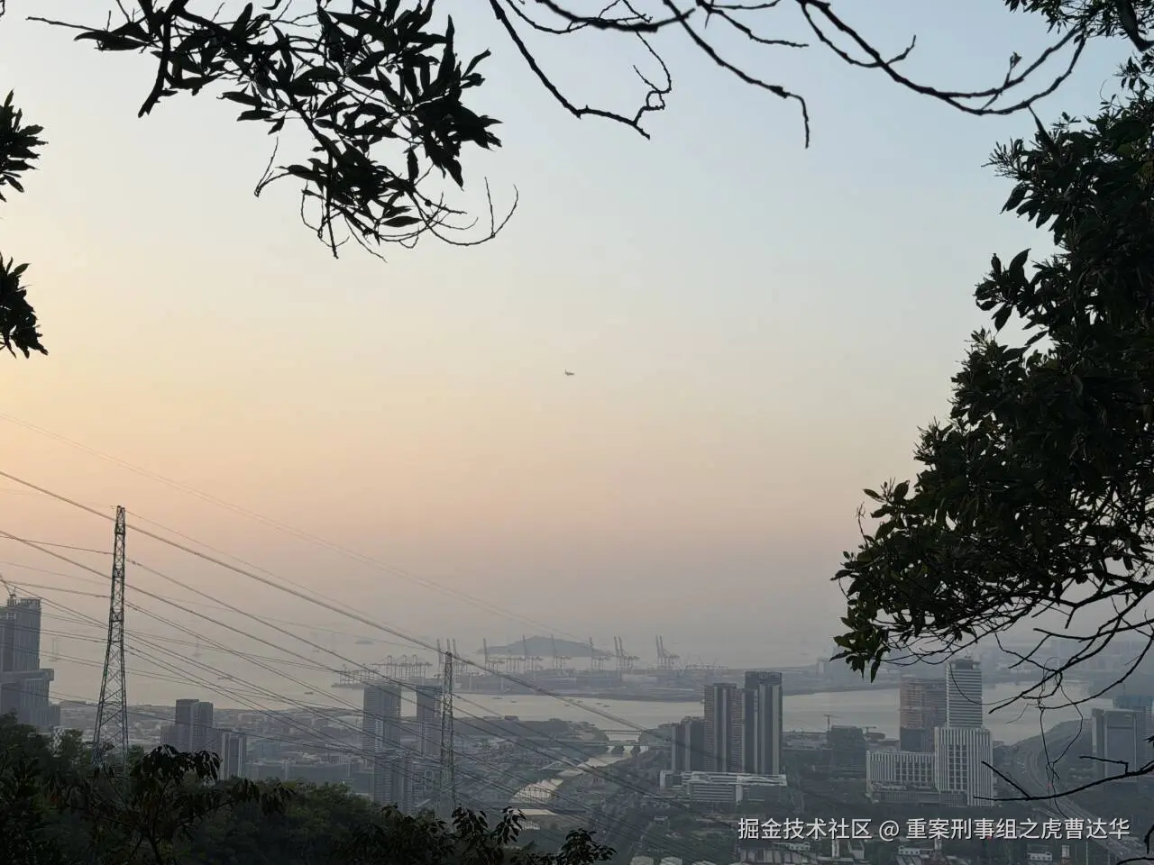 重案刑事组之虎曹达华于2025-12-09 10:01发布的图片