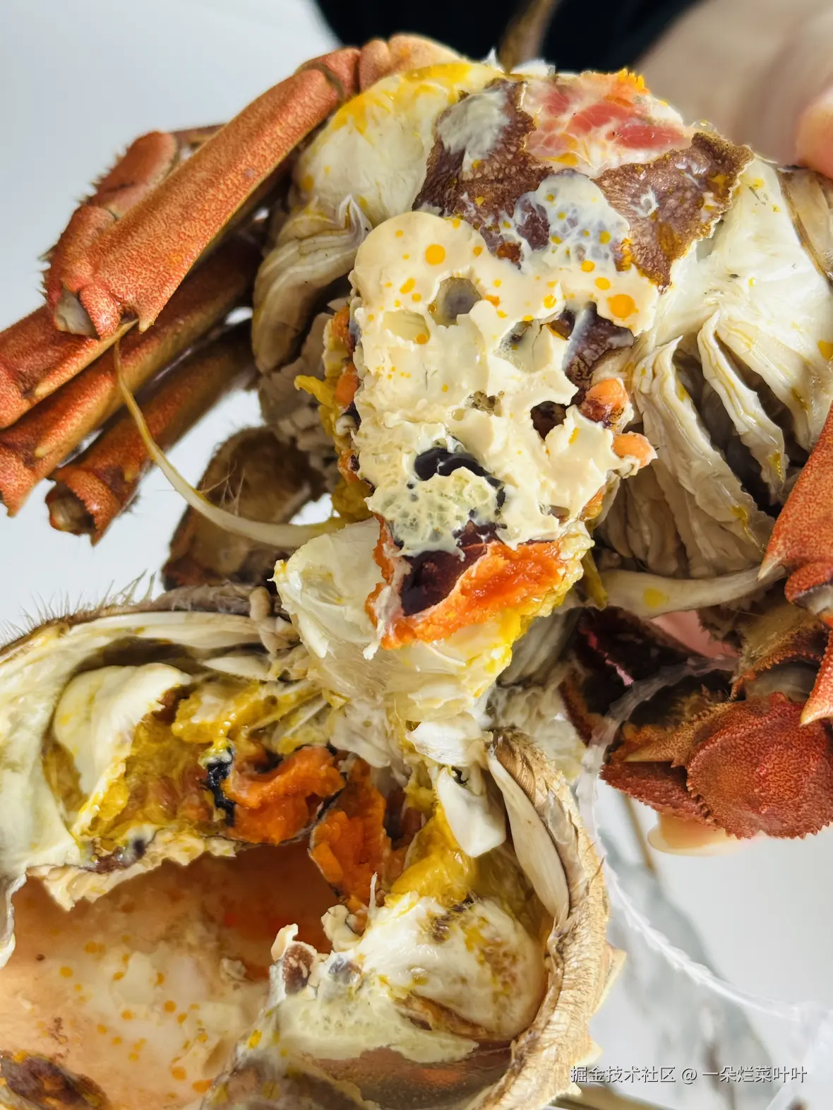 一朵烂菜叶叶于2025-11-06 05:07发布的图片