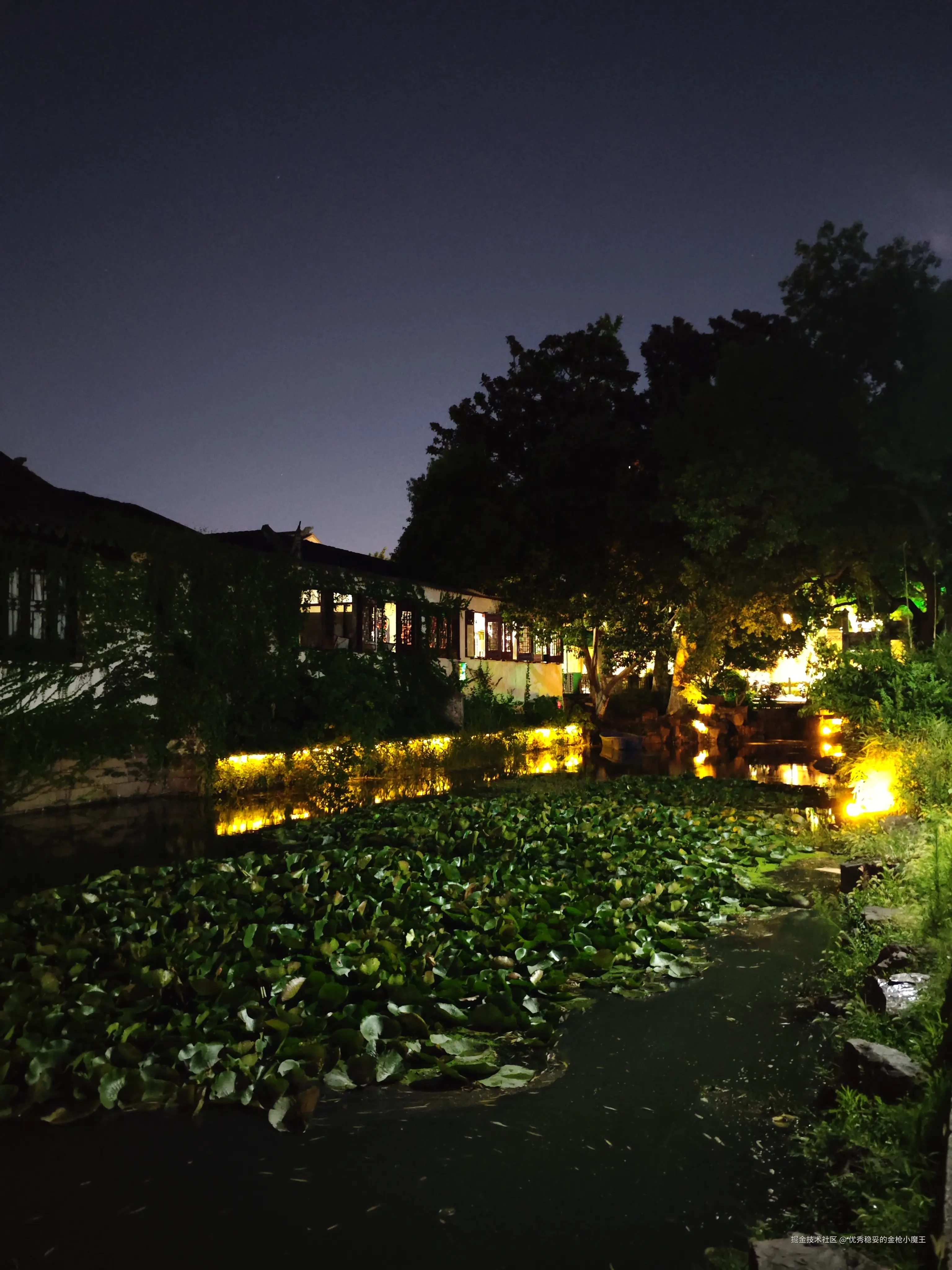 优秀稳妥的金枪小魔王于2025-09-02 06:01发布的图片