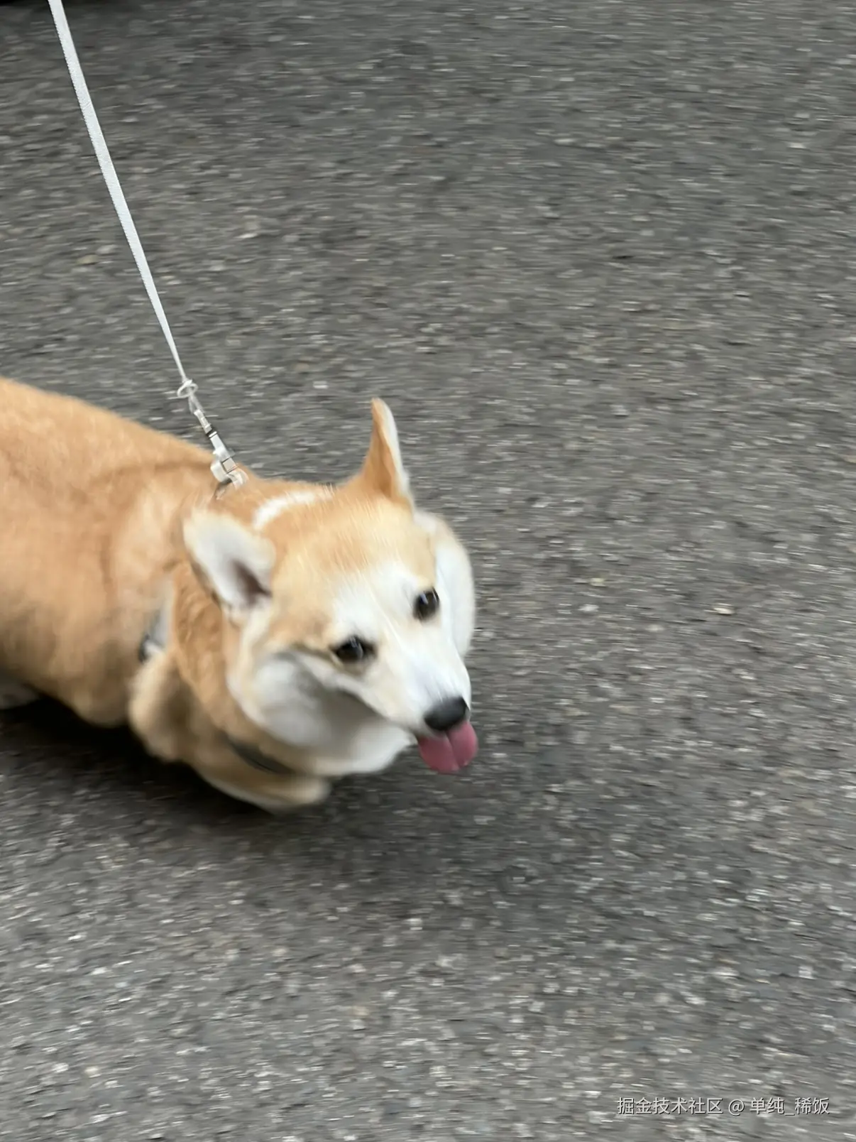 单纯_稀饭于2026-04-01 07:44发布的图片