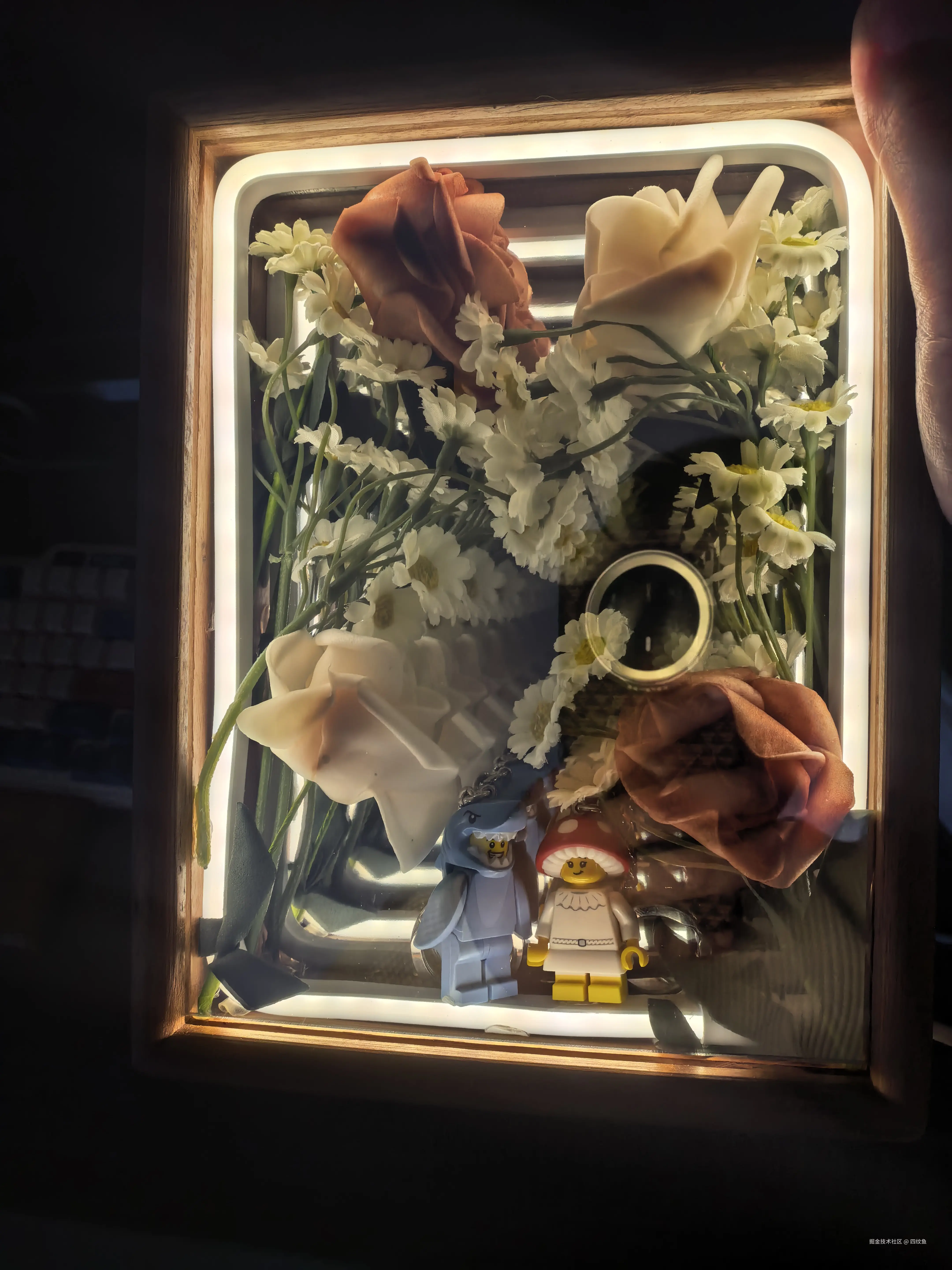 四纹鱼于2026-04-08 11:31发布的图片