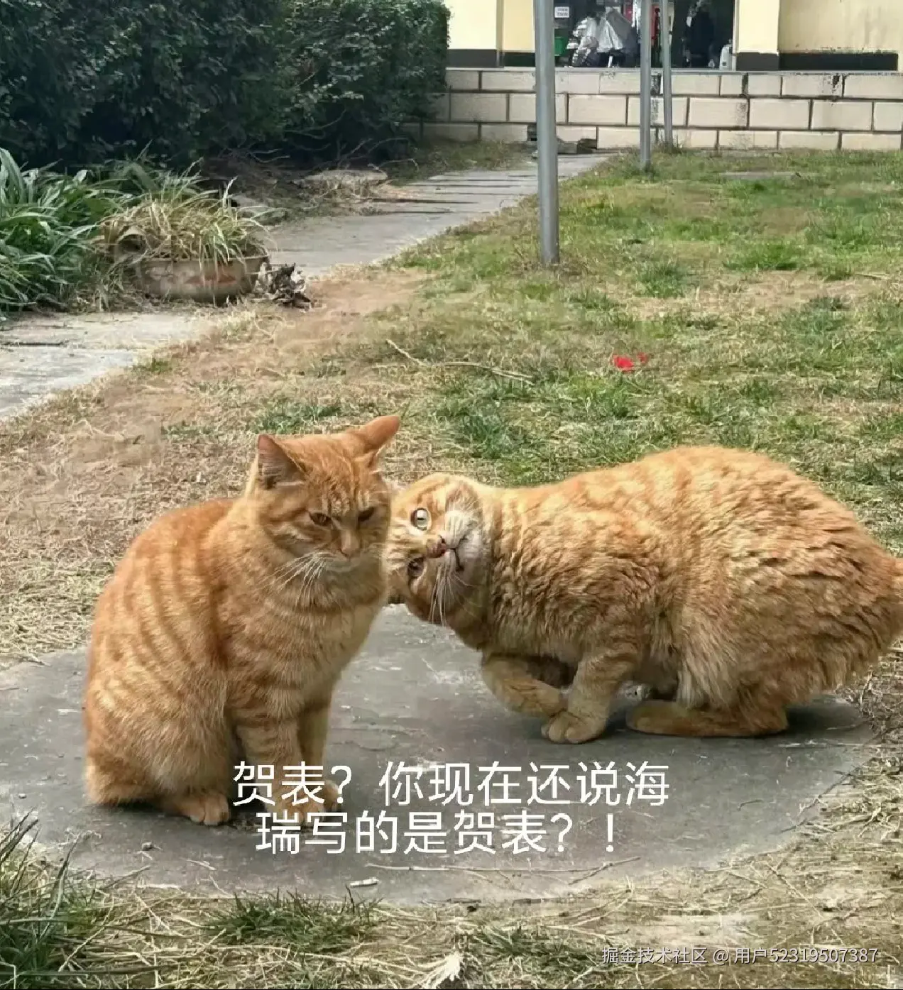 用户52319507387于2026-04-30 17:09发布的图片