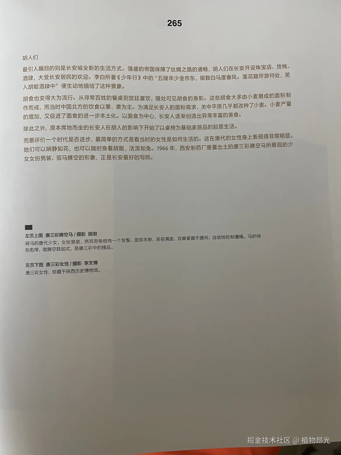 植物昂光于2026-03-31 21:07发布的图片