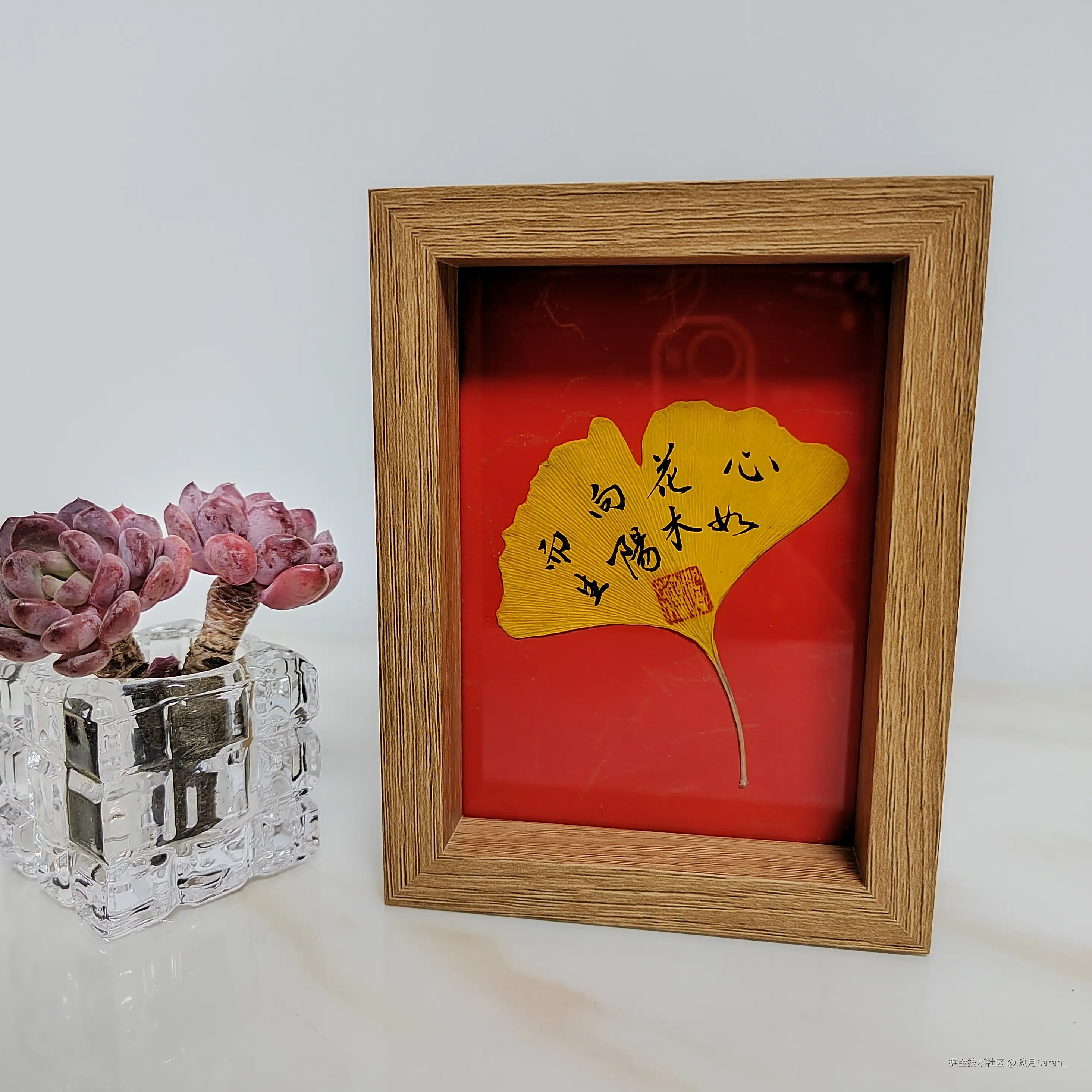 玖月Sarah_于2025-04-08 14:27发布的图片