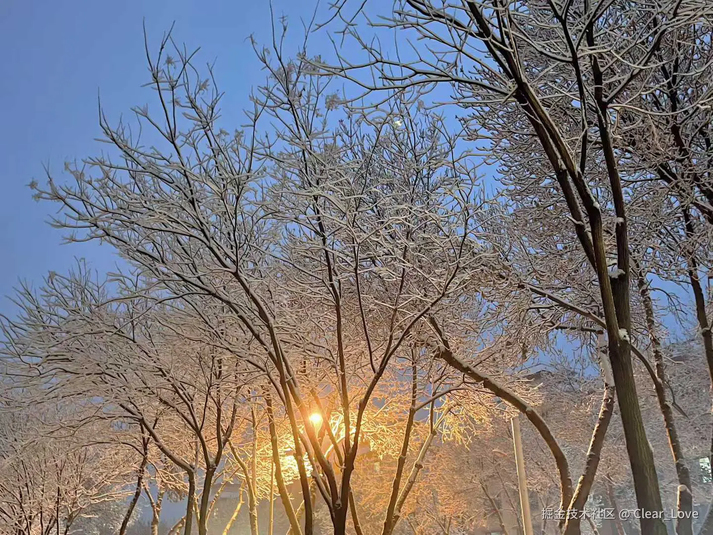 Clear_Love于2025-12-18 13:07发布的图片