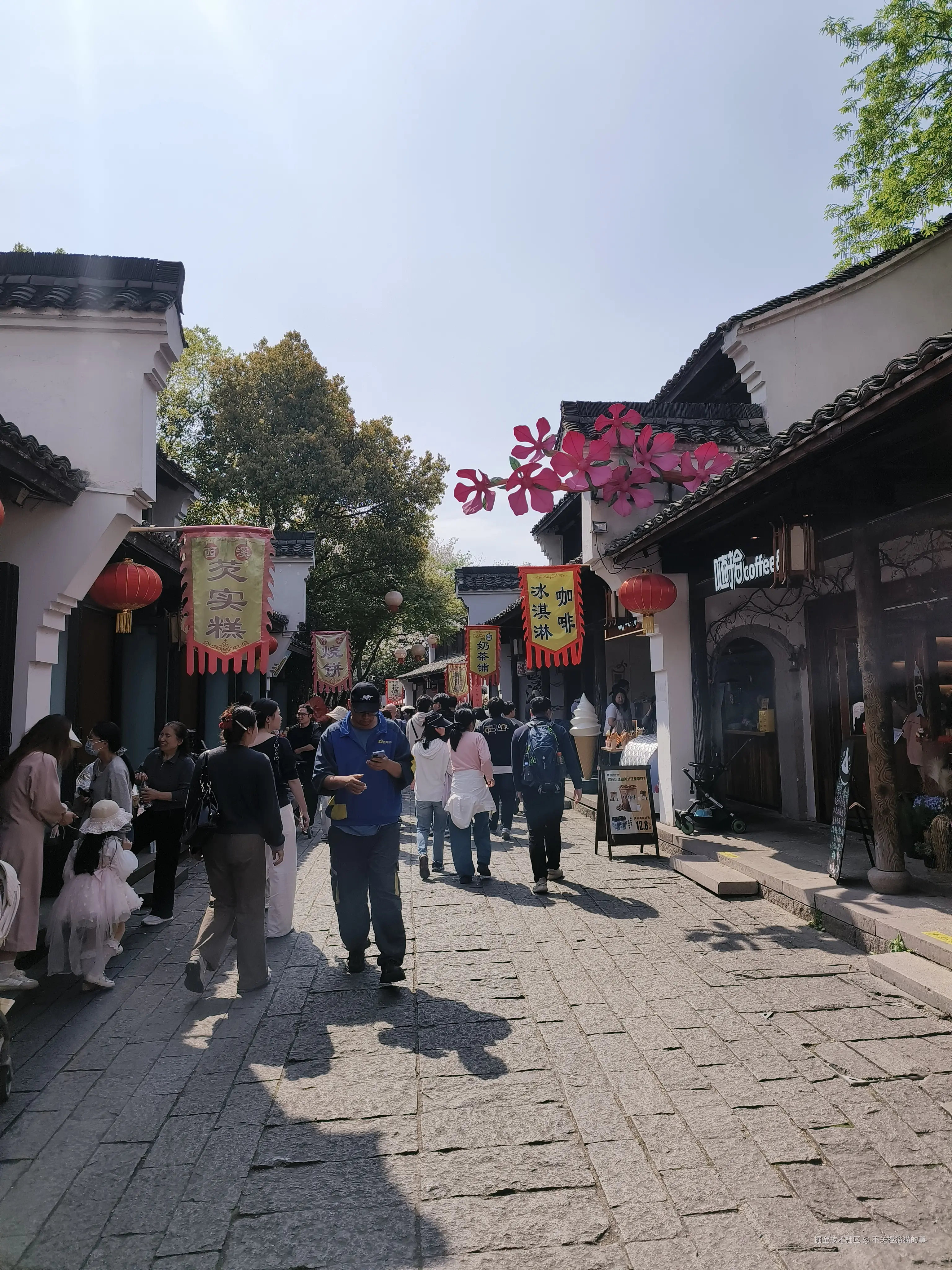 不关橙猫猫的事于2026-03-30 10:59发布的图片