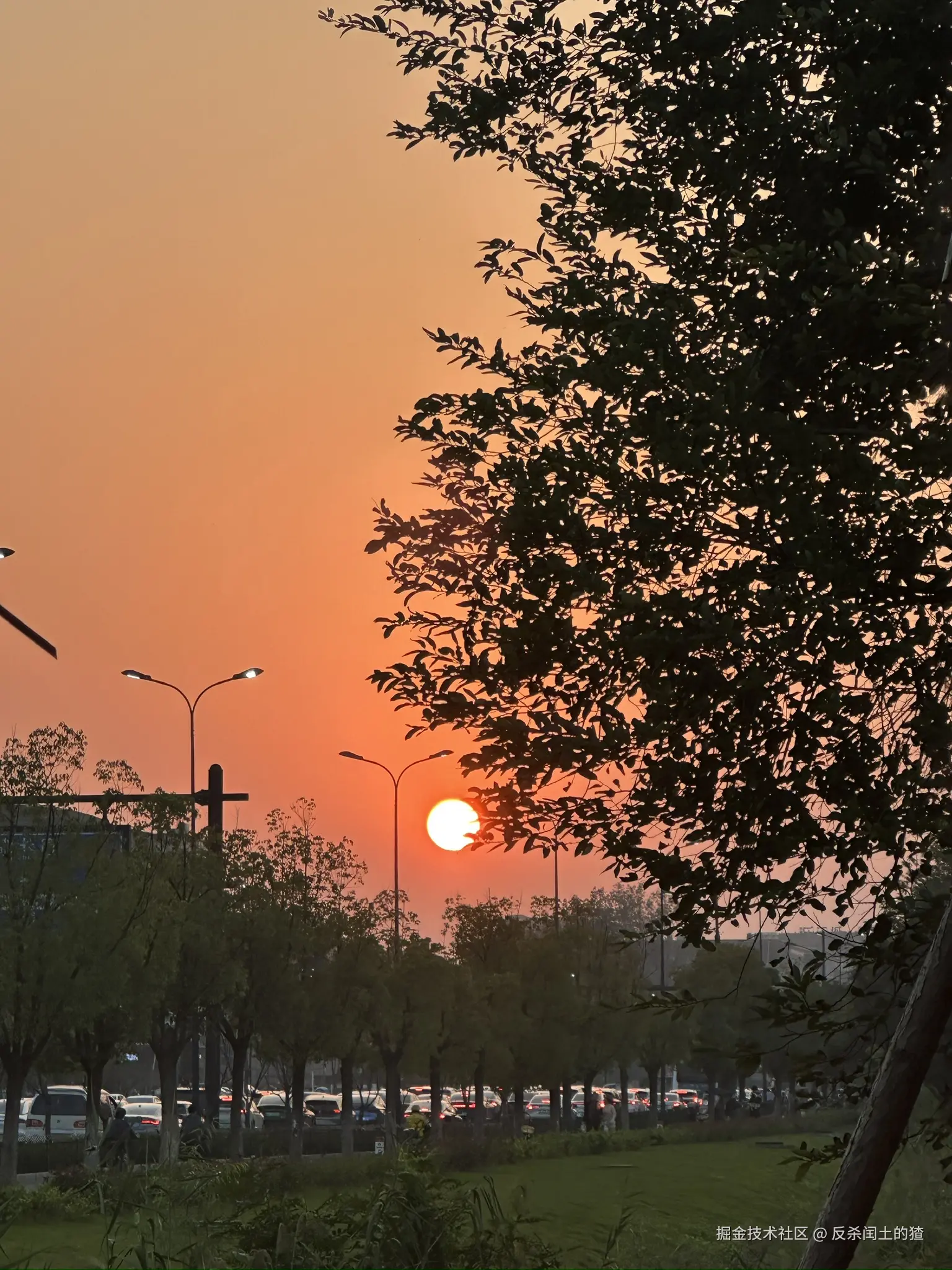 反杀闰土的猹于2025-11-17 09:00发布的图片