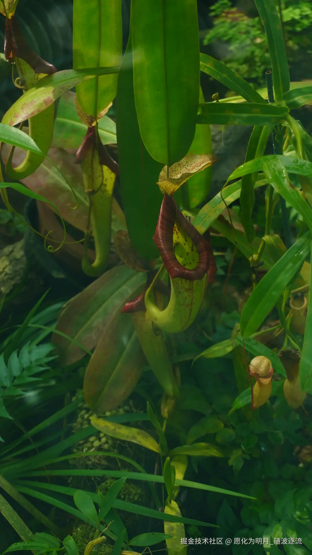 愿化为明月_随波逐流于2025-07-01 09:23发布的图片