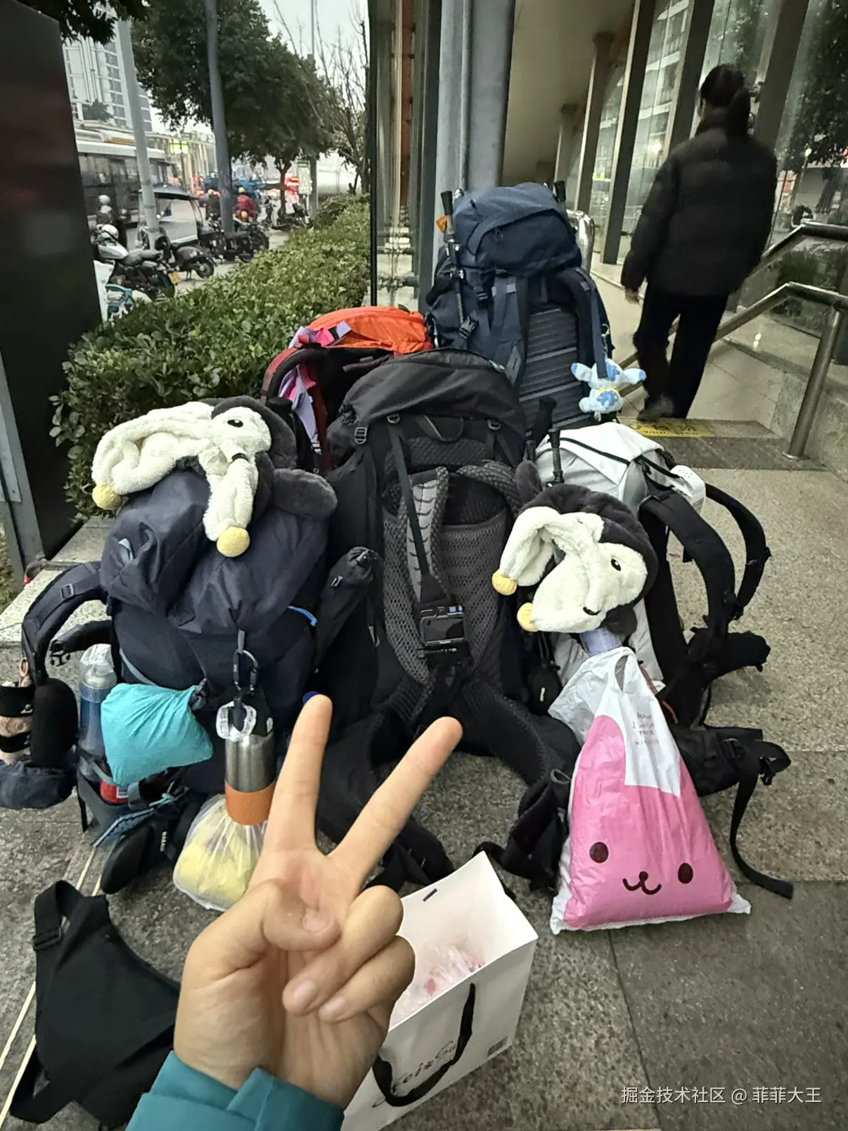 菲菲大王于2025-12-12 08:11发布的图片