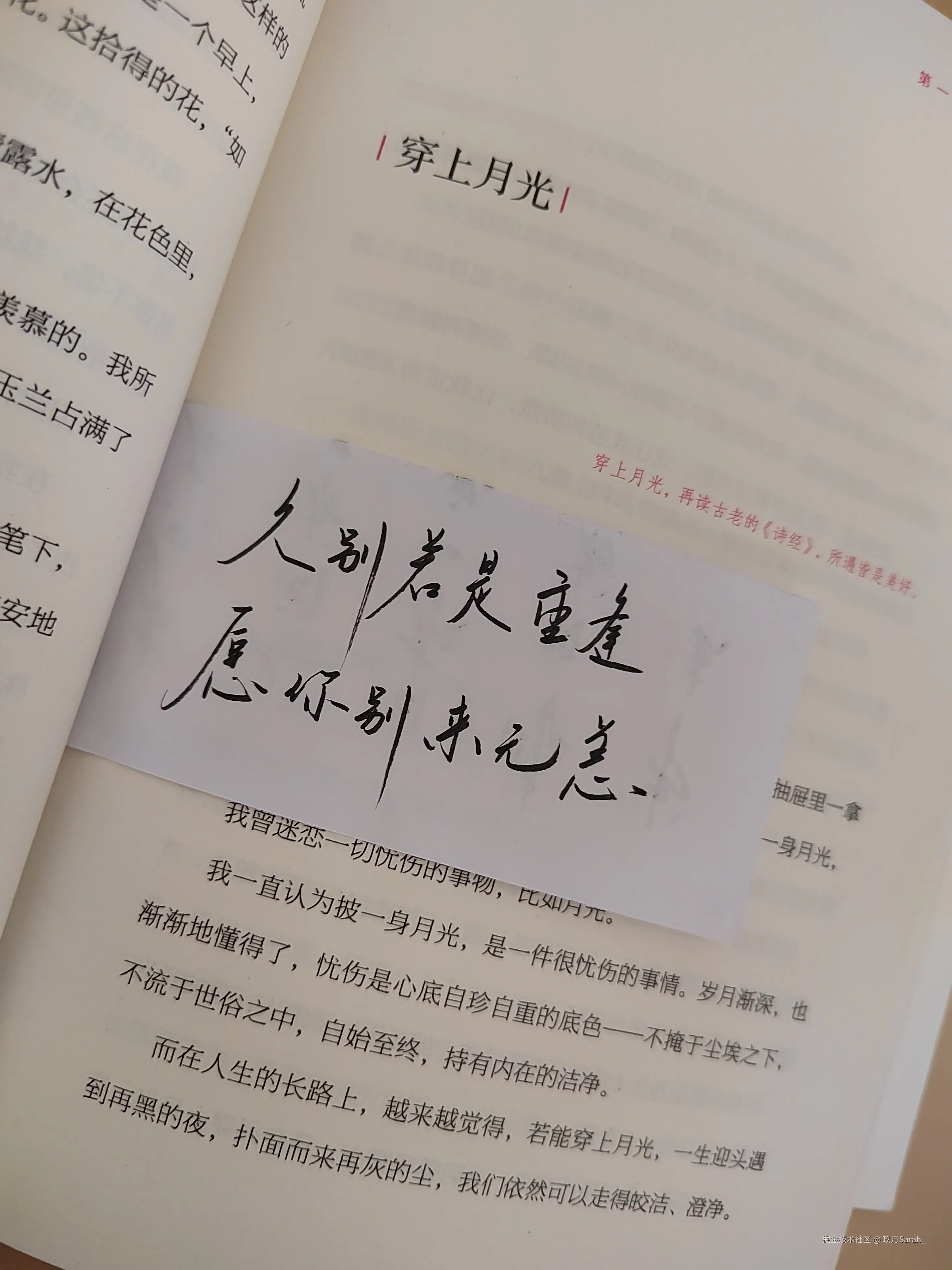 玖月Sarah_于2024-09-13 08:46发布的图片