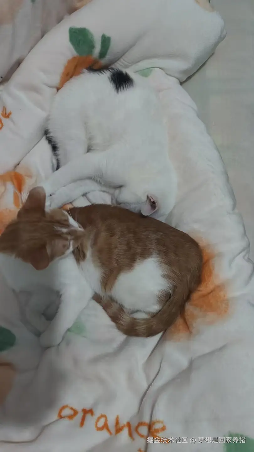 梦想是回家养猪于2024-12-16 19:37发布的图片