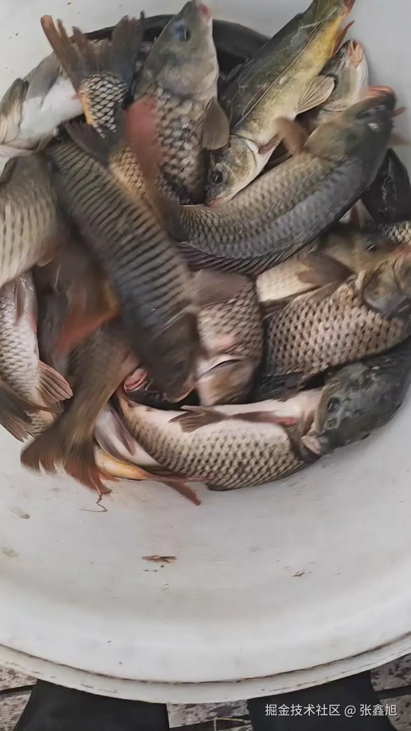 张鑫旭于2025-09-30 11:10发布的图片