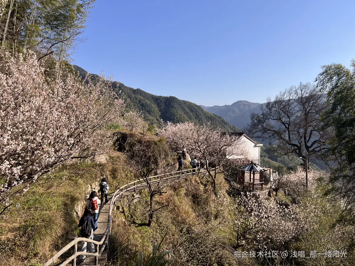 浅唱_那一缕阳光于2026-04-01 10:01发布的图片