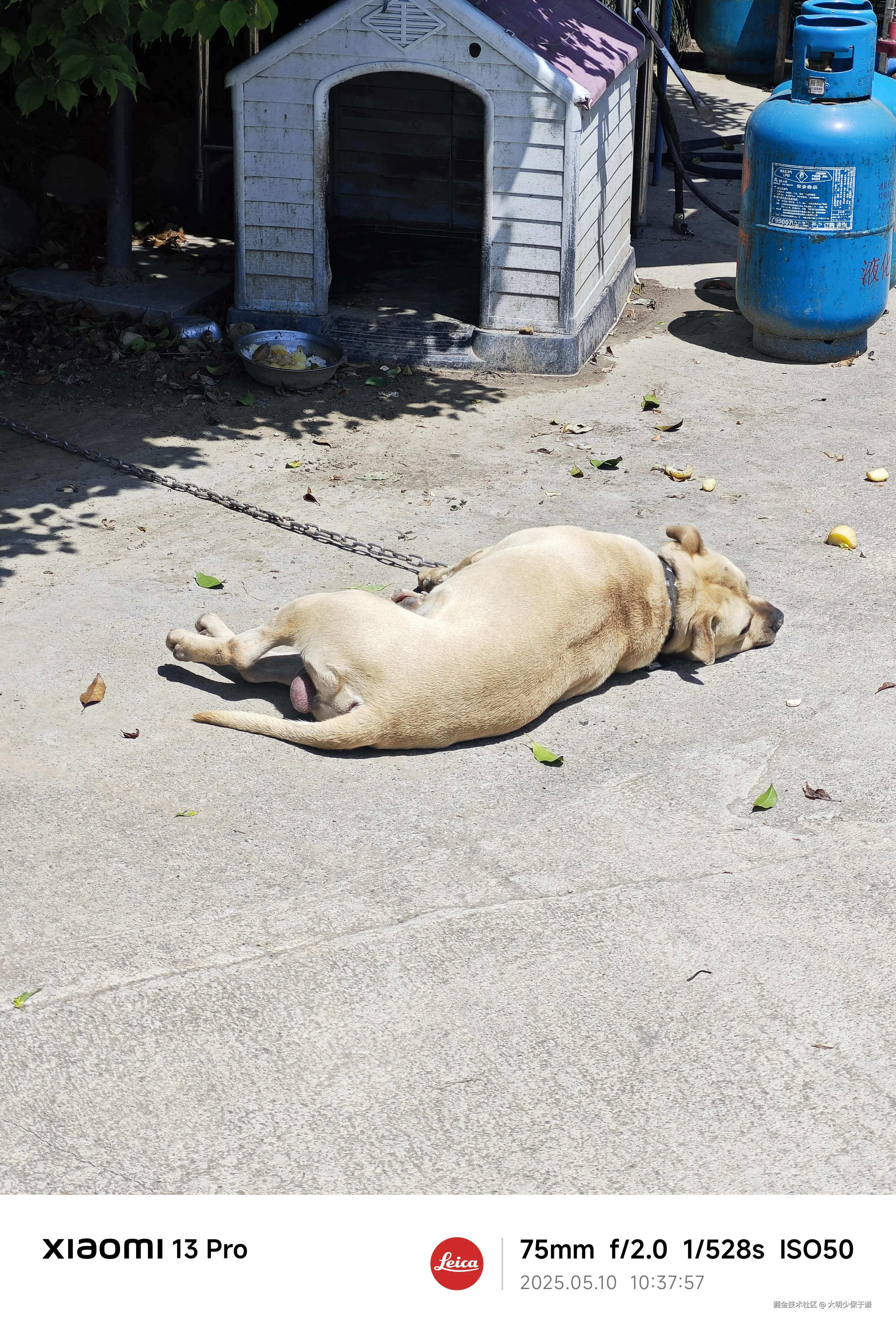 大明少保于谦于2025-05-12 09:51发布的图片