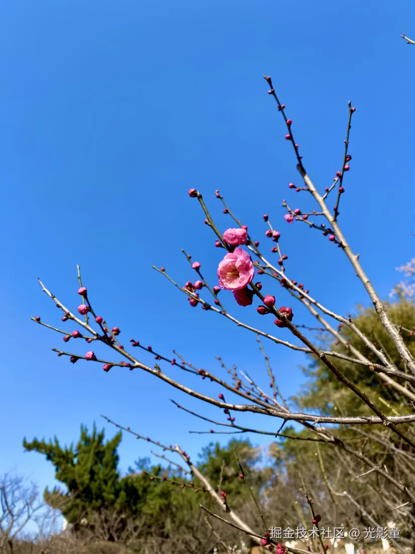 光影童于2026-01-06 13:53发布的图片